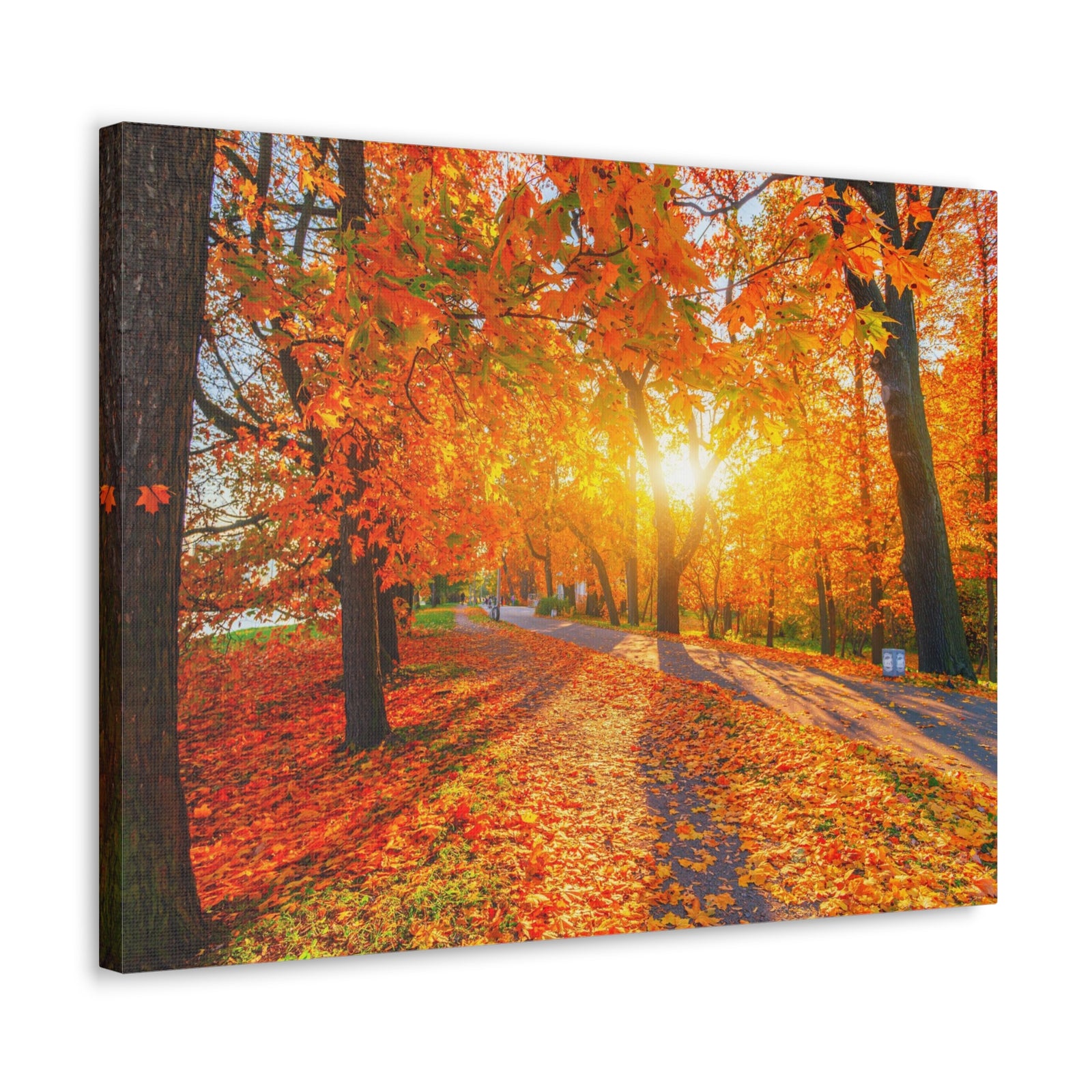 Autumn Forest Path Forest Floral Nature Photography Canvas Wall Art for Home Decor Ready-to-Hang-Express Your Love Gifts