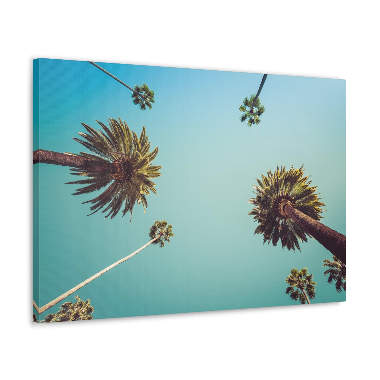 Los Angeles Palm Trees Modern Multicolor Scenic Nature Photography Canvas Home Office Decor Ready to Hang-Express Your Love Gifts