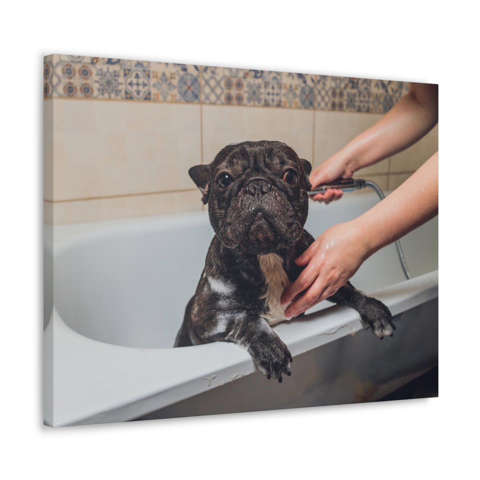 Cute French Bulldog Bath Canvas Wall Art for Home Decor Ready-to-Hang-Express Your Love Gifts