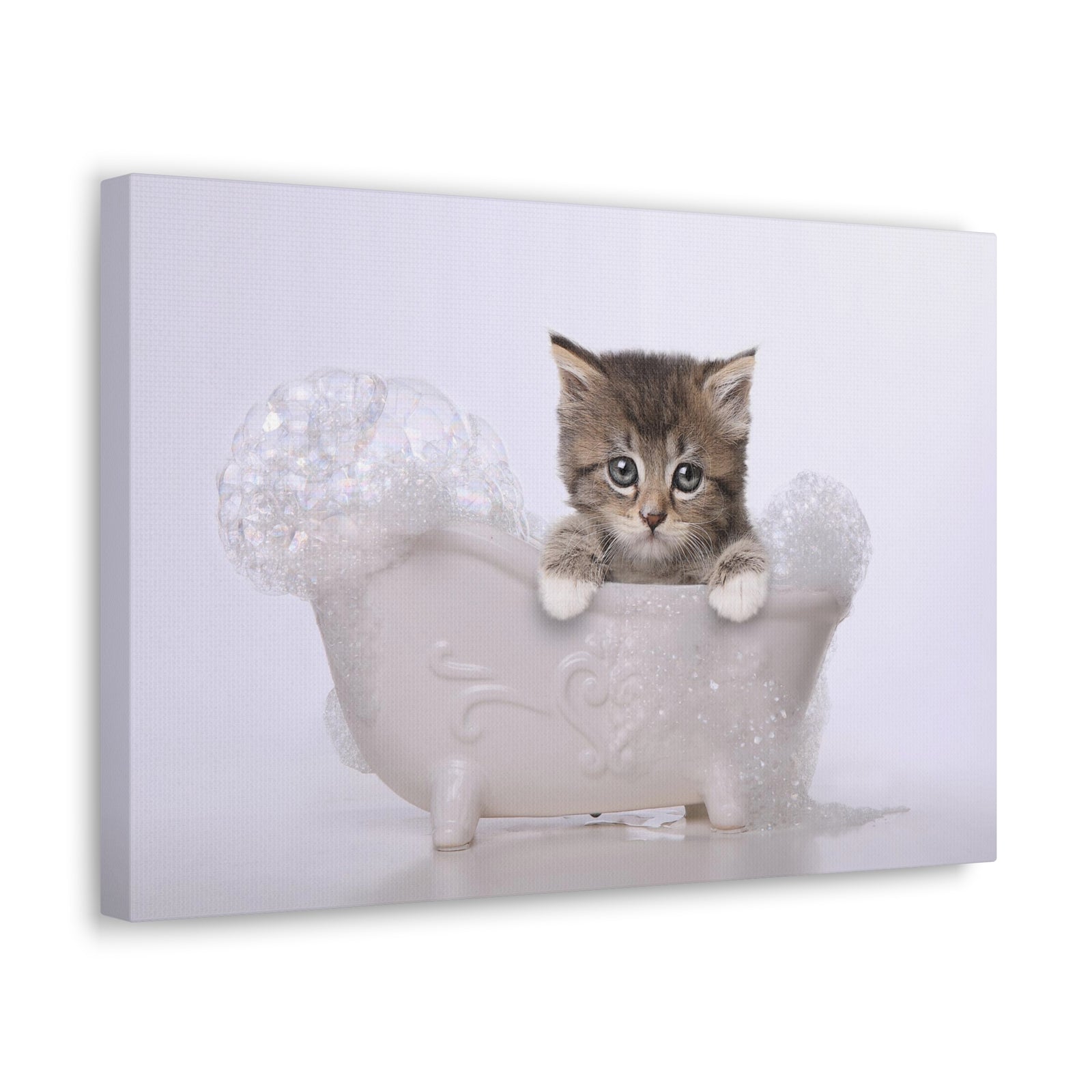 Cute Main Coon Kitten Bathee Canvas Wall Art for Home Decor Ready-to-Hang-Express Your Love Gifts