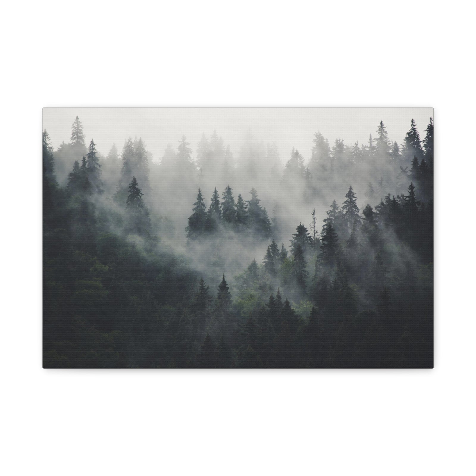 Misty Pine Tree Green Forest Nature Wilderness Photography Canvas Wall Art for Home Decor Ready-to-Hang-Express Your Love Gifts