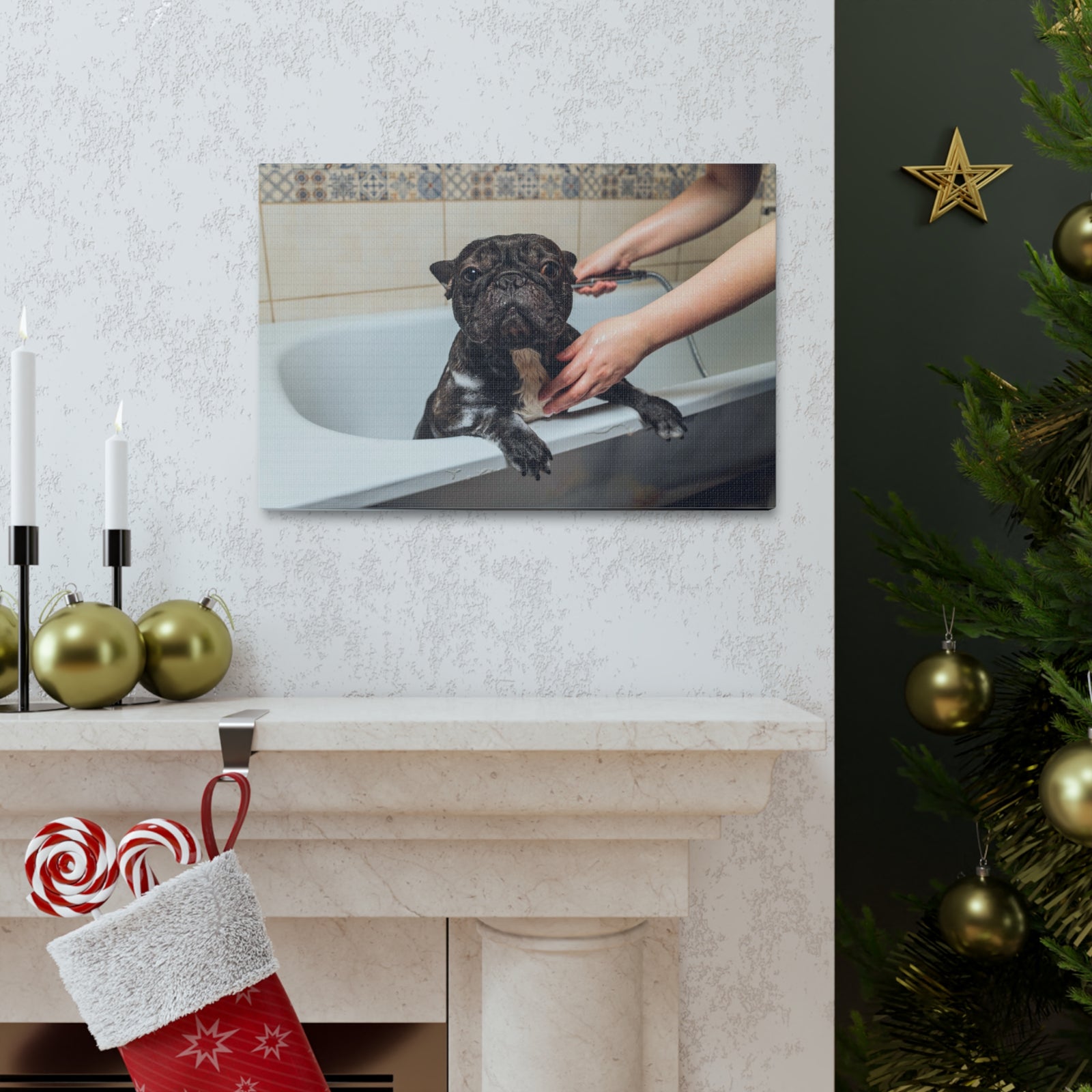 Cute French Bulldog Bath Canvas Wall Art for Home Decor Ready-to-Hang-Express Your Love Gifts