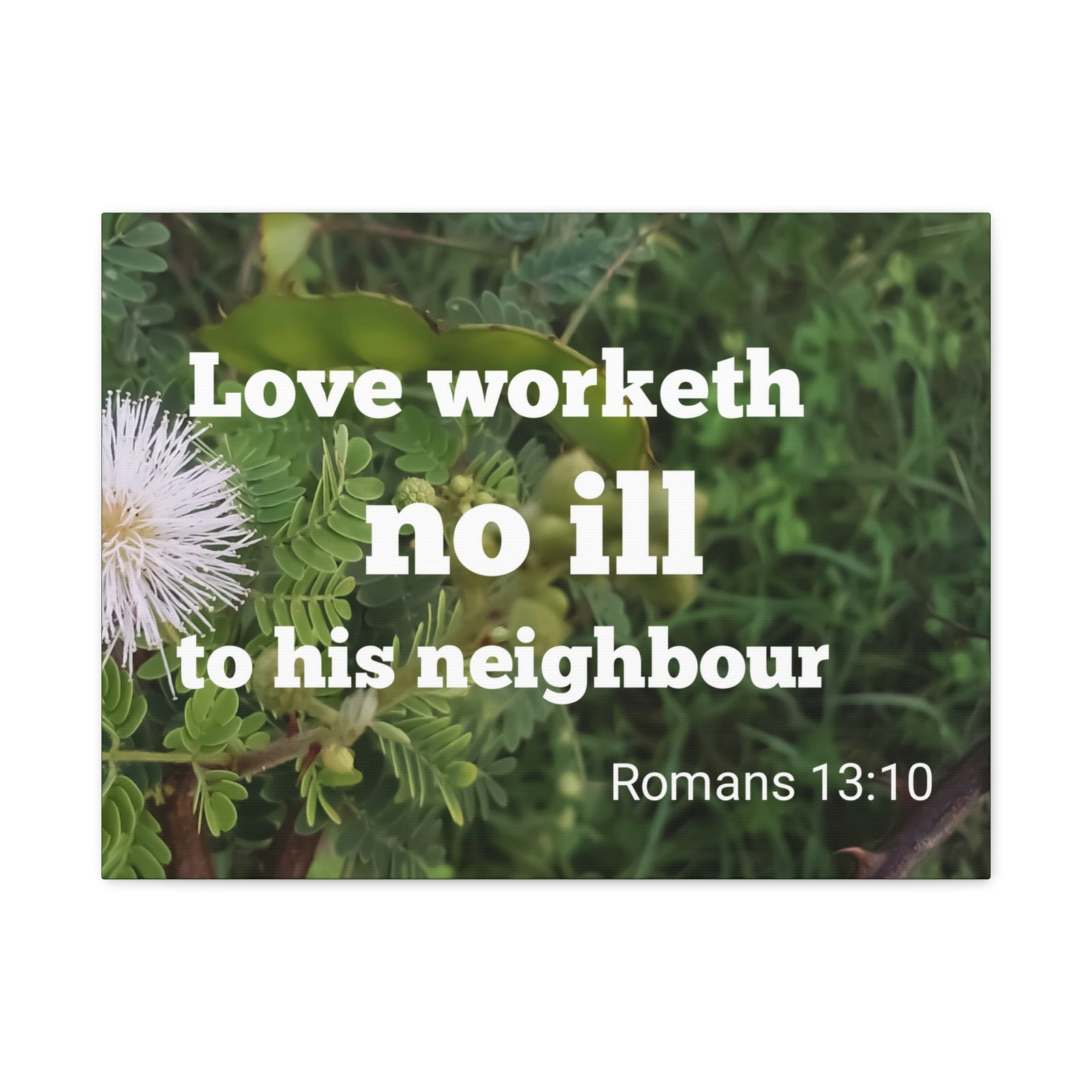 Scripture Canvas Neighbor Romans 13:10 Christian Wall Art Bible Verse Print Ready to Hang-Express Your Love Gifts