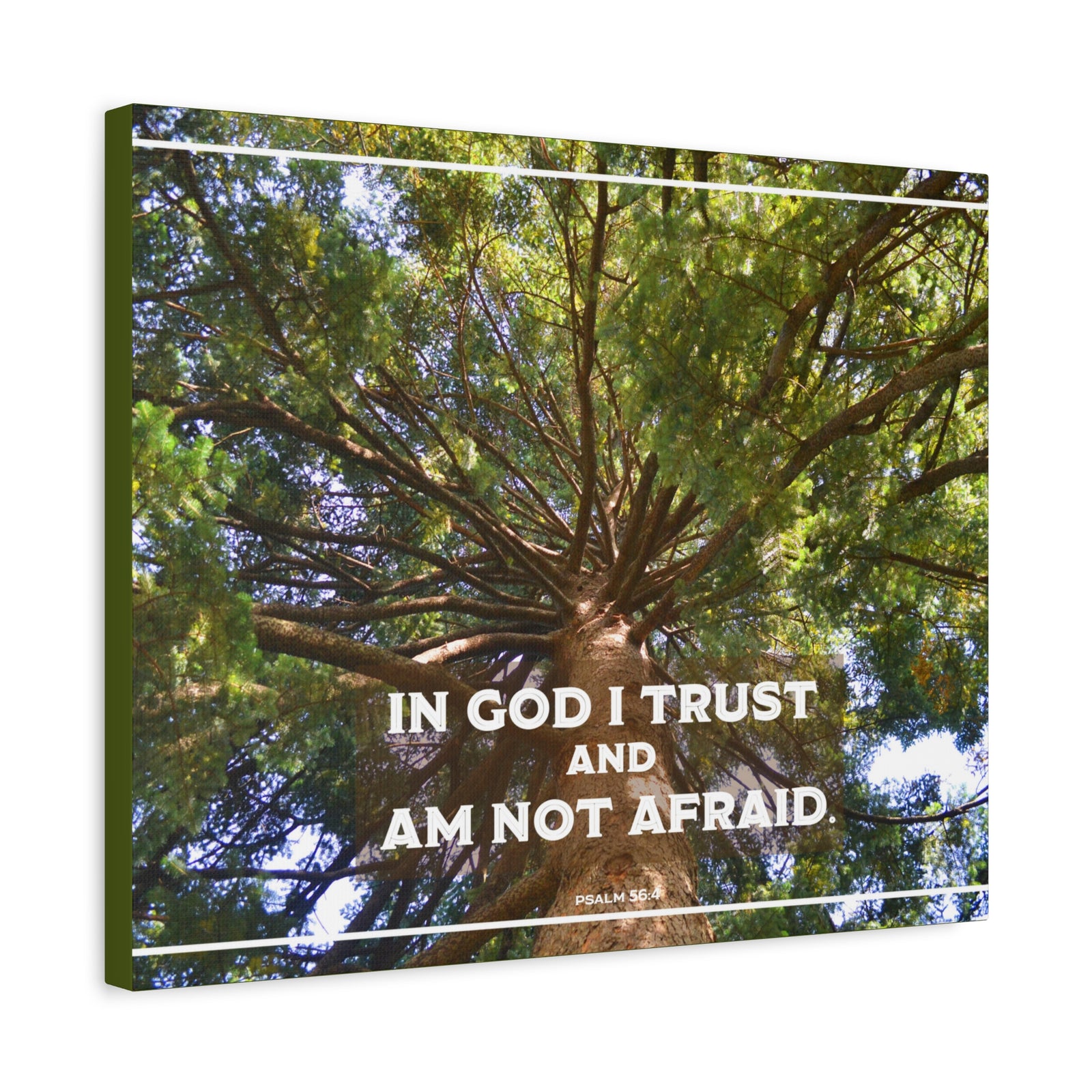 Scripture Walls In God I Trust Psalm 56:4 Bible Verse Canvas Christian Wall Art Ready to Hang-Express Your Love Gifts