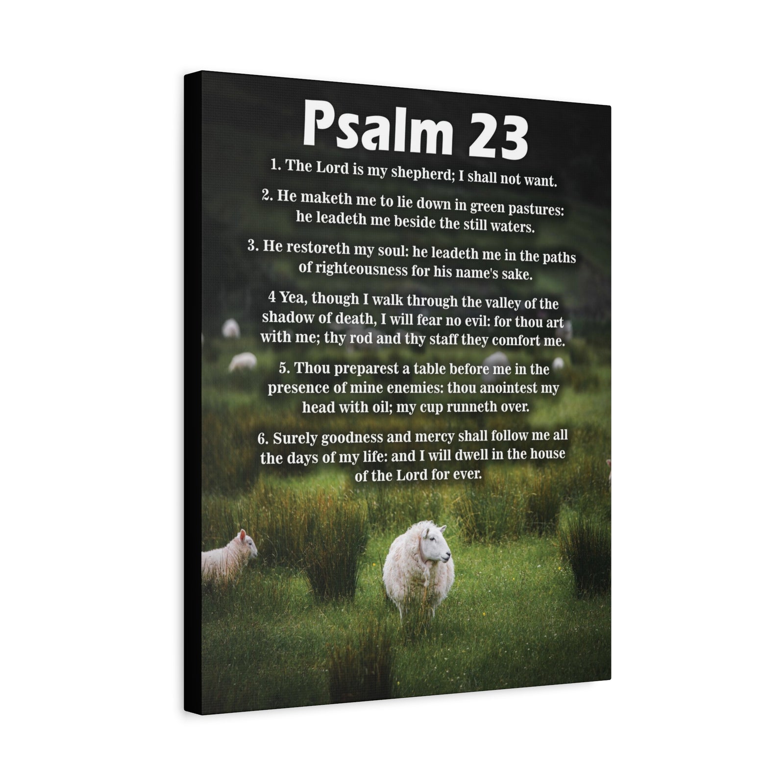 Scripture Walls The Lord is My Shepherd Psalm 23:3 Christian Wall Art Bible Verse Print Ready to Hang-Express Your Love Gifts