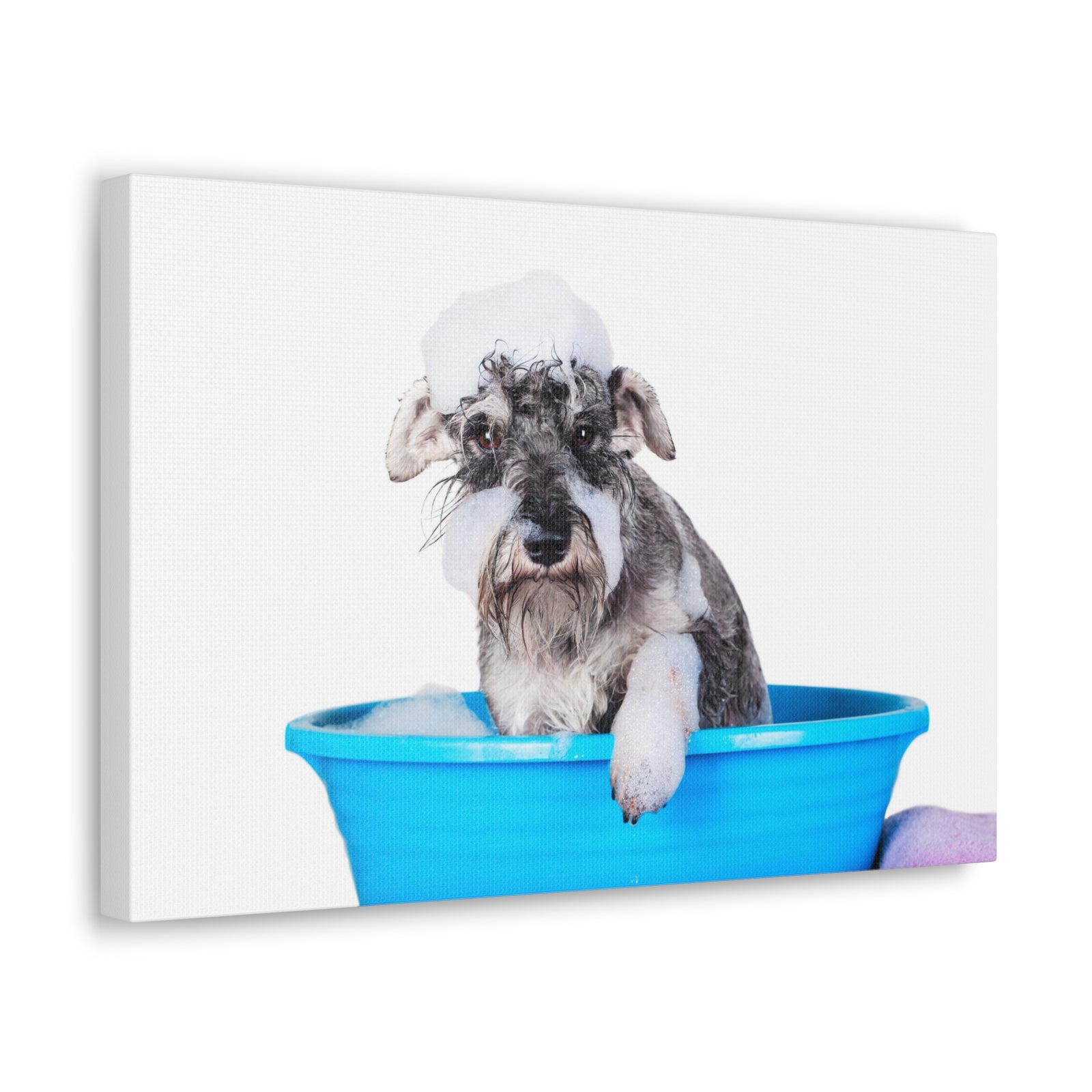 Cute Schnauzer Bath Canvas Wall Art for Home Decor Ready-to-Hang-Express Your Love Gifts
