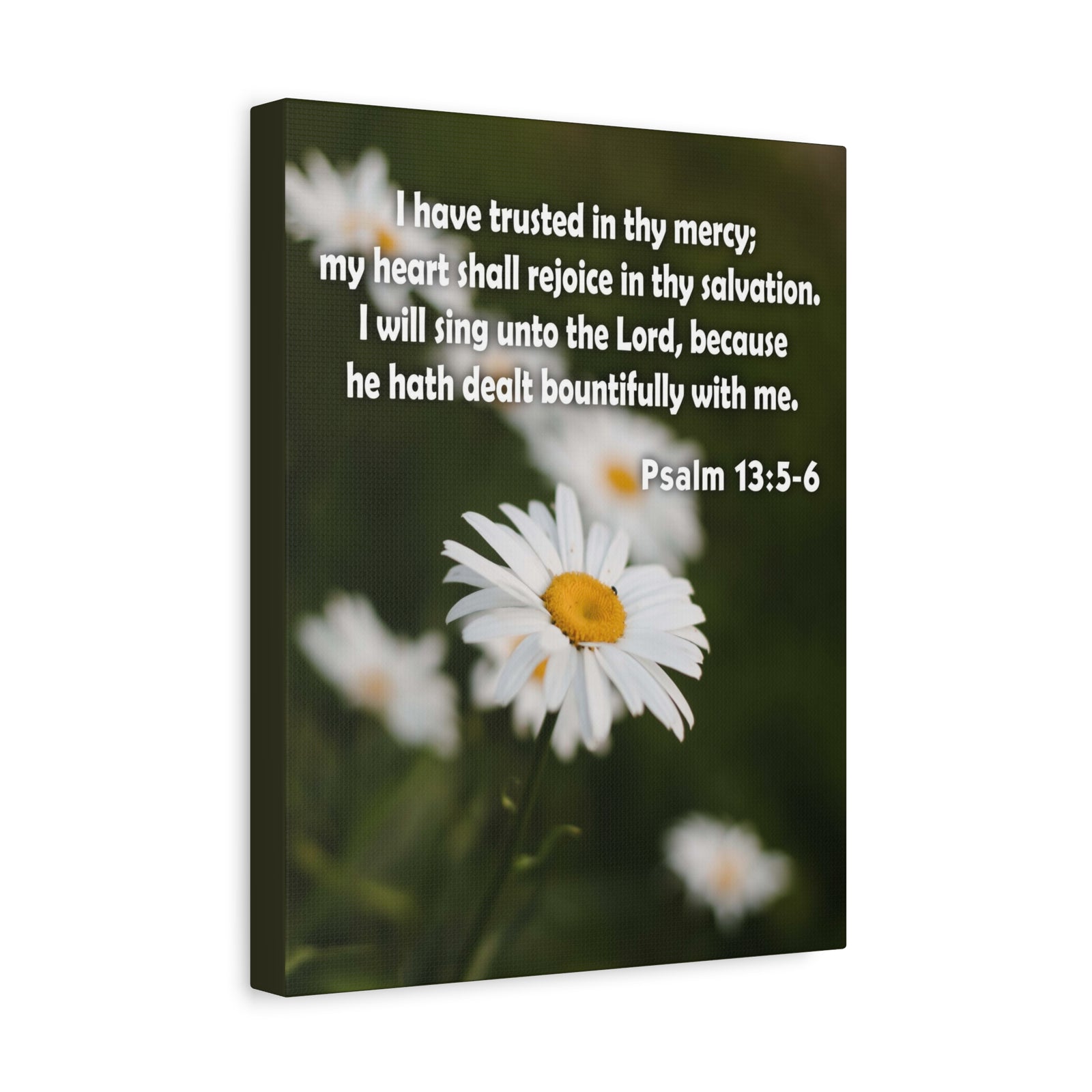 Scripture Canvas Rejoice in Thy Salvation Psalm 13:5-6 Christian Wall Art Bible Verse Print Ready to Hang-Express Your Love Gifts