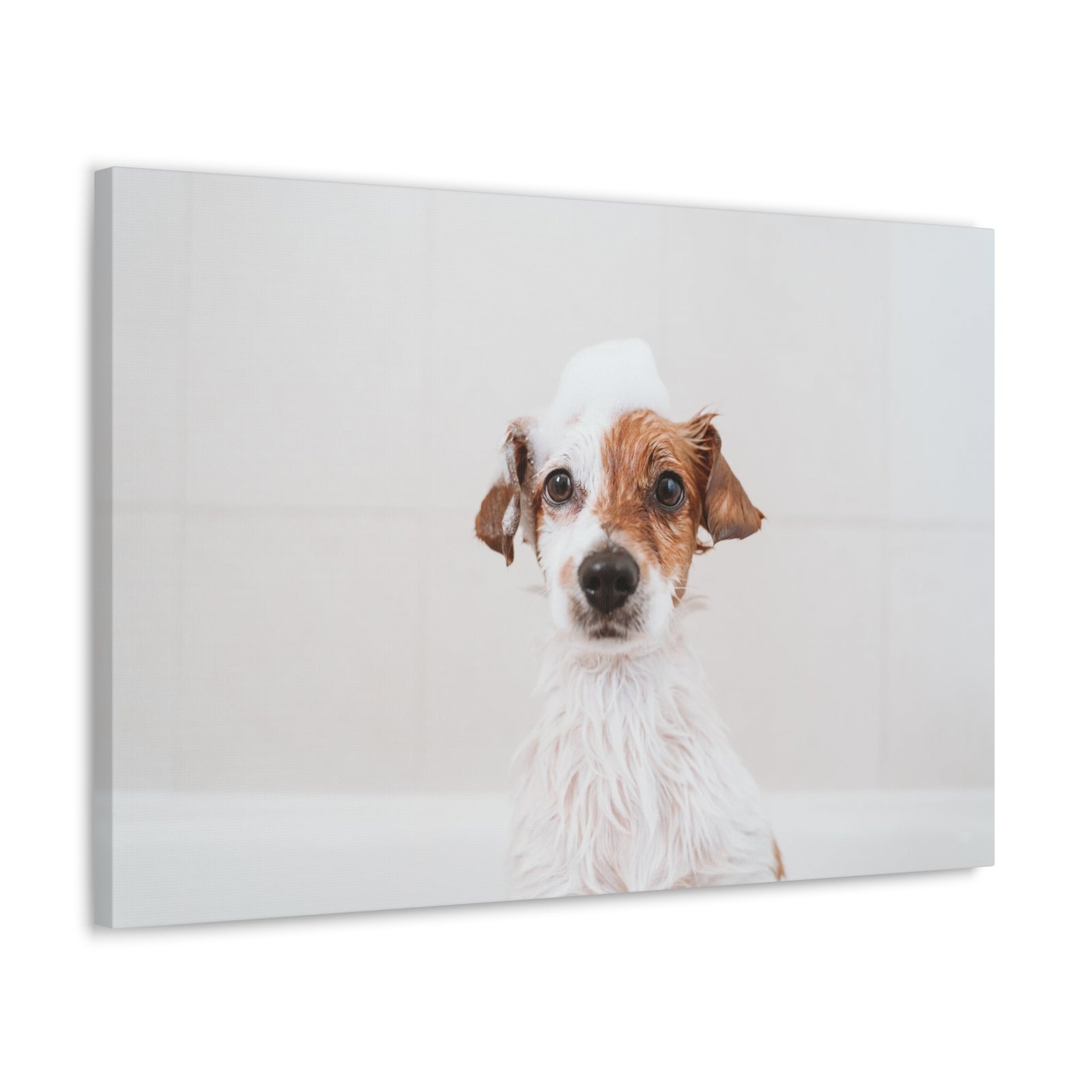 Cute Jack Russell Terrier Bathee Canvas Wall Art for Home Decor Ready-to-Hang-Express Your Love Gifts