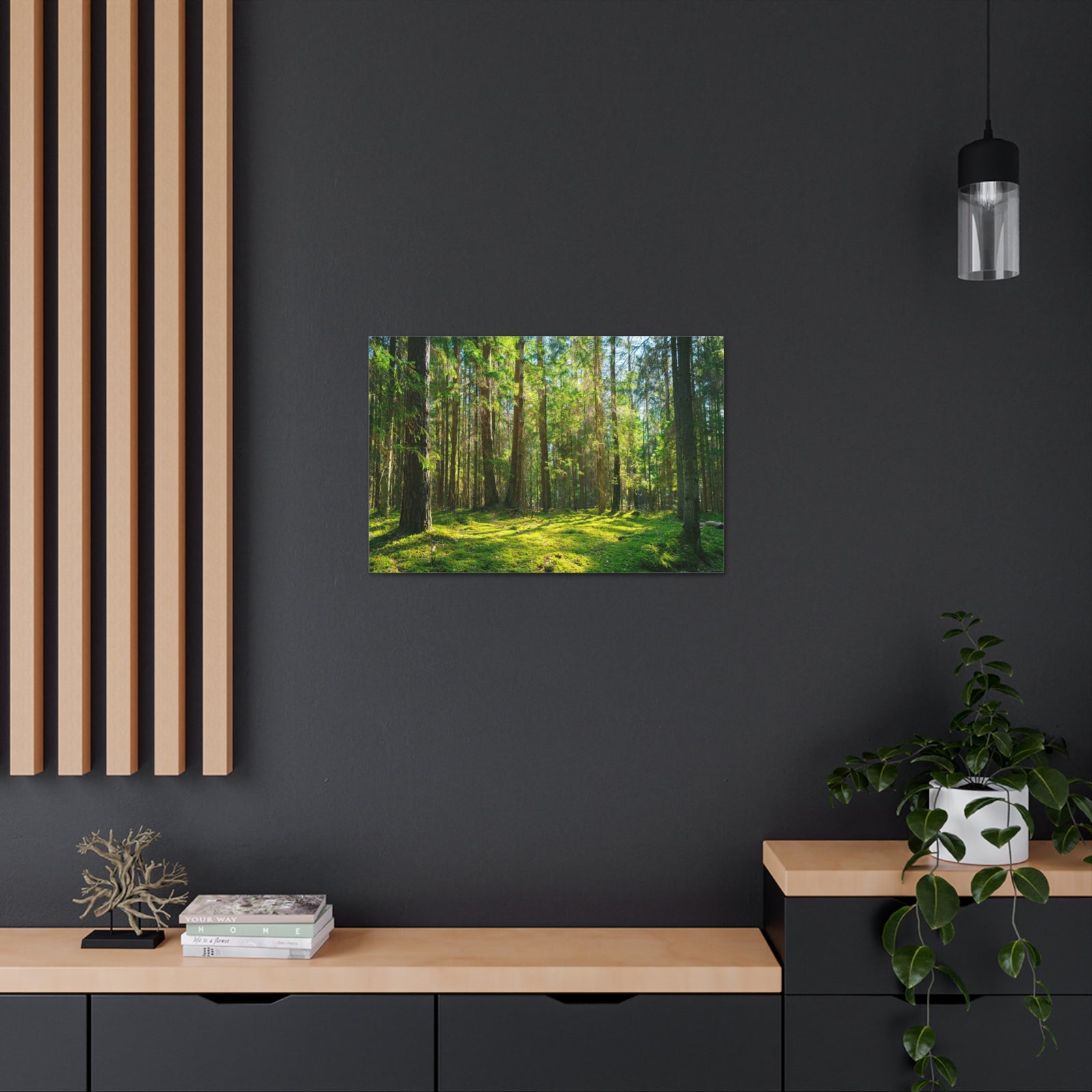 Sunlight Green Forest Tree Nature Wilderness Photography Canvas Wall Art for Home Decor Ready-to-Hang-Express Your Love Gifts