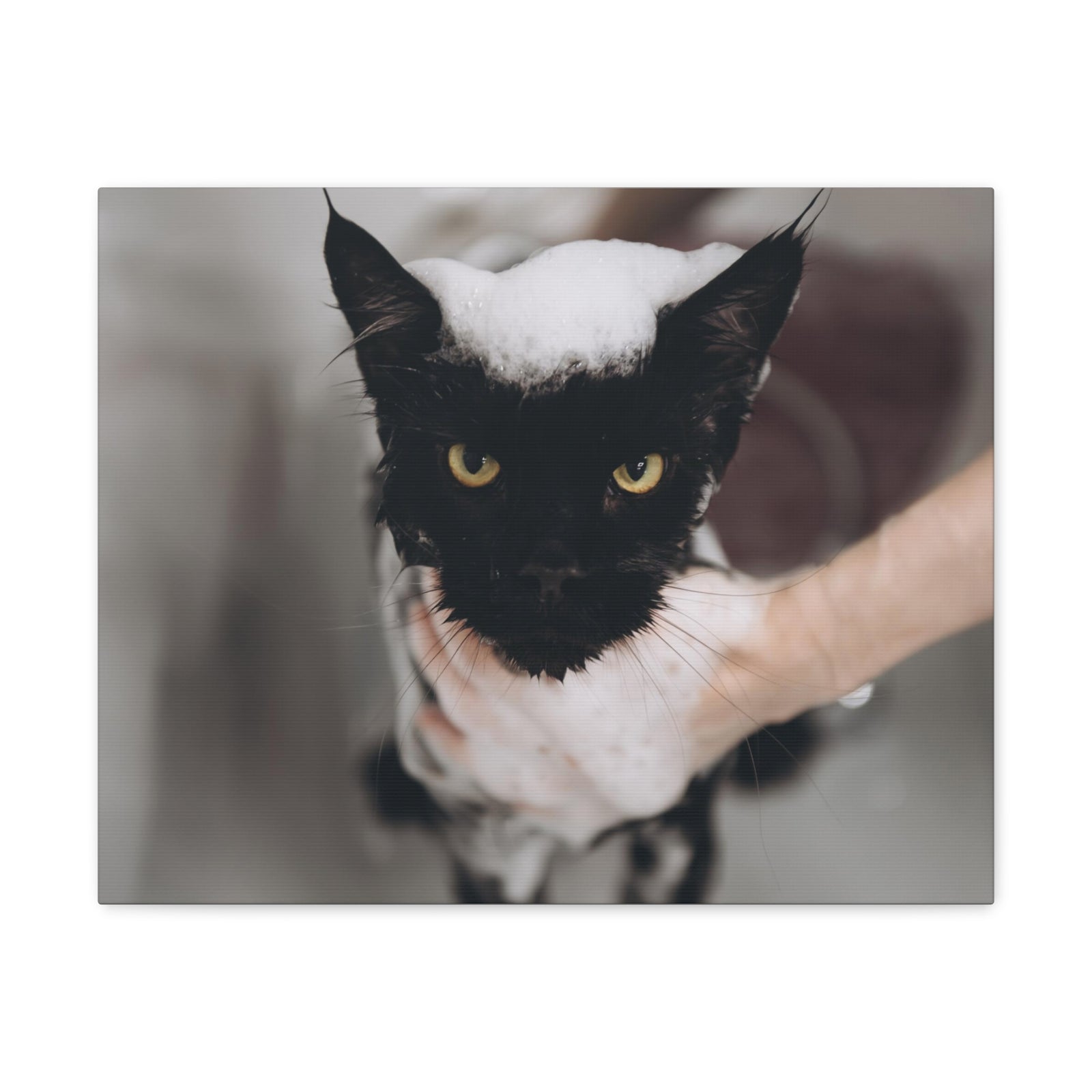 Cute Main Coon Bathee Canvas Wall Art for Home Decor Ready-to-Hang-Express Your Love Gifts