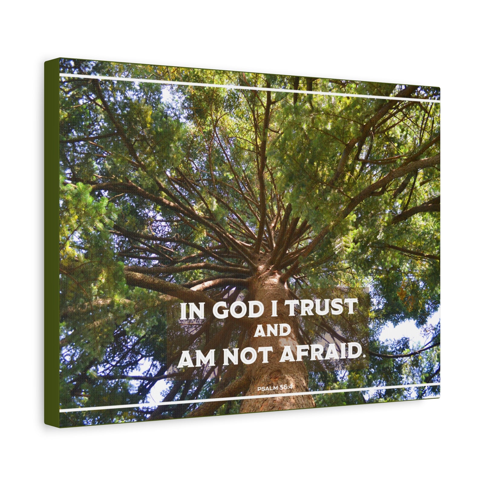 Scripture Walls In God I Trust Psalm 56:4 Bible Verse Canvas Christian Wall Art Ready to Hang-Express Your Love Gifts