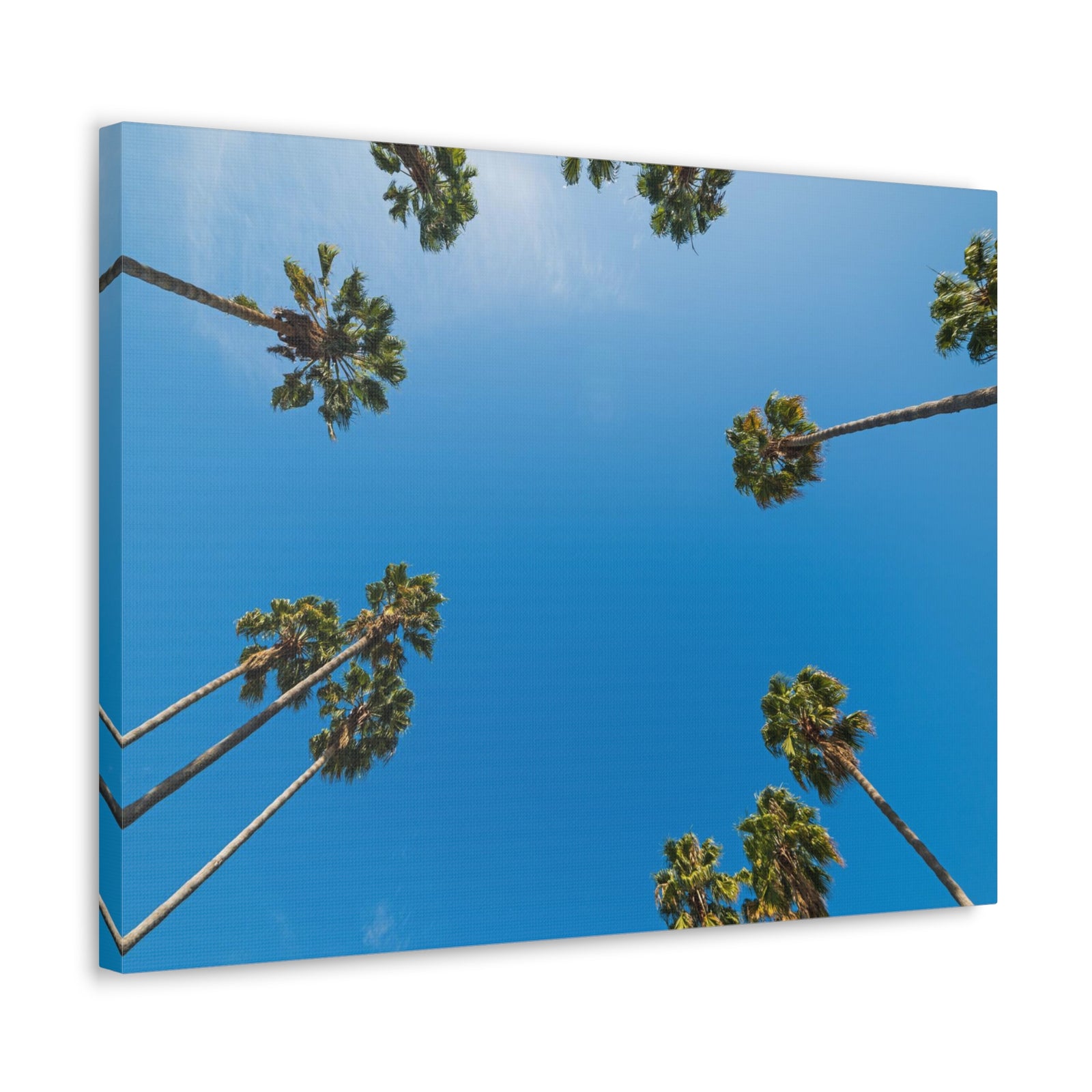 Palm Trees Los Angeles Modern Multicolor Scenic Nature Photography Canvas Home Office Decor Ready to Hang-Express Your Love Gifts