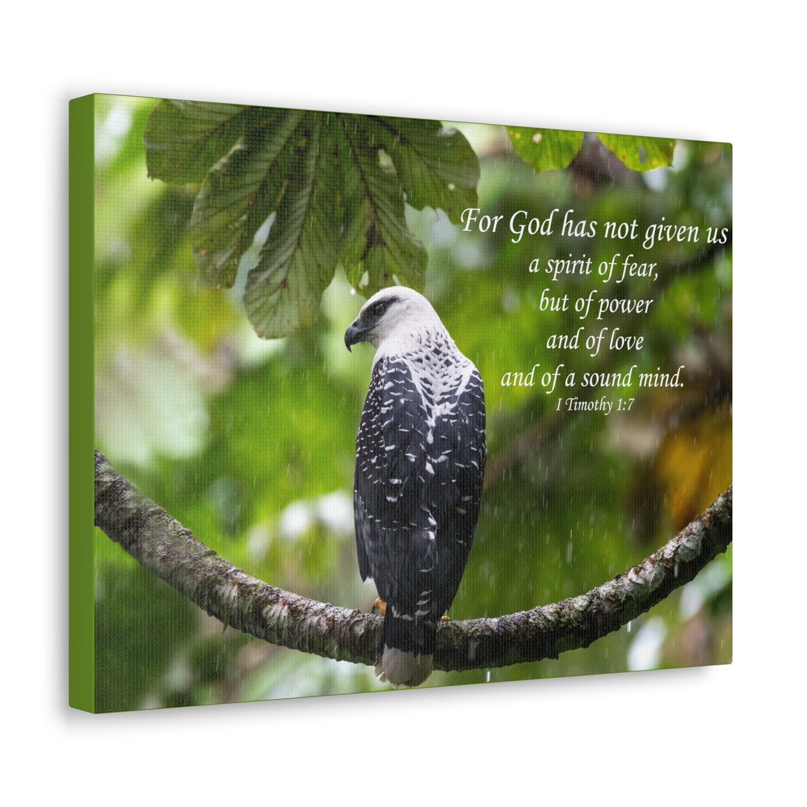 Scripture Canvas A Sound Mind 1 Timothy 1:7 Christian Wall Art Bible Verse Print Ready to Hang-Express Your Love Gifts