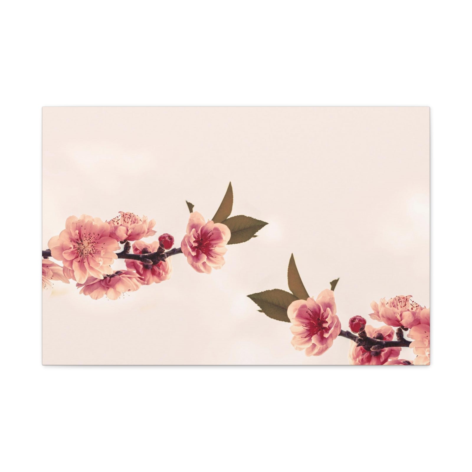 Peach Blossoms with Space Forest Floral Nature Photography Canvas Wall Art for Home Decor Ready-to-Hang-Express Your Love Gifts