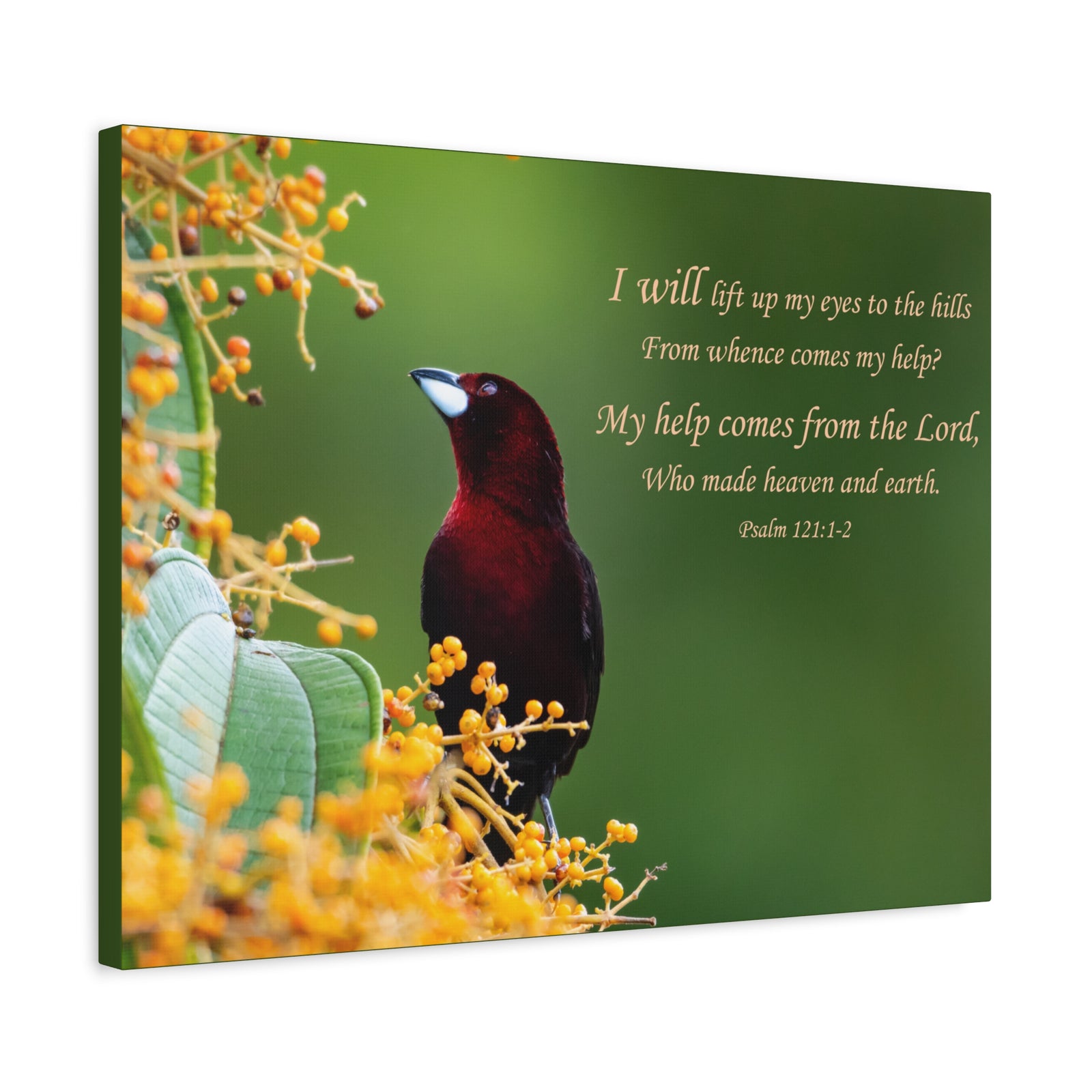 Scripture Canvas Comes From The Lord Psalm 121:1-2 Christian Wall Art Bible Verse Print Ready to Hang-Express Your Love Gifts