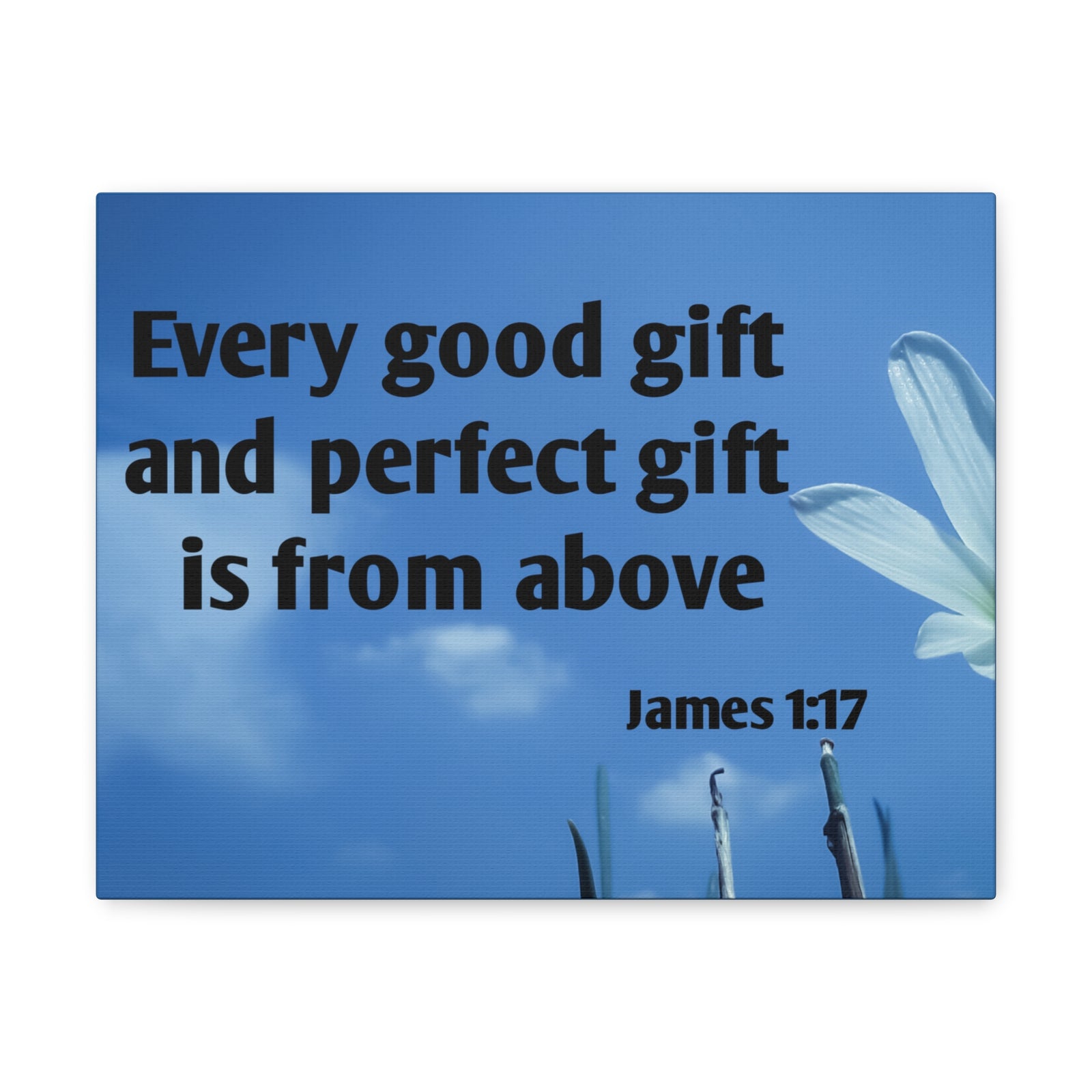 Scripture Canvas Perfect Gift James 1:17 Christian Wall Art Bible Verse Print Ready to Hang-Express Your Love Gifts