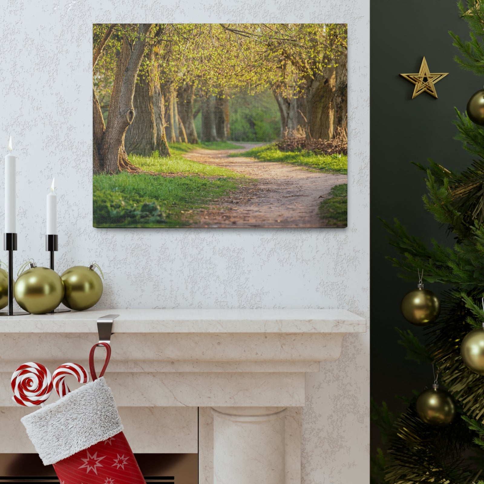 Tree Green Path Forest Nature Wilderness Photography Canvas Wall Art for Home Decor Ready-to-Hang-Express Your Love Gifts