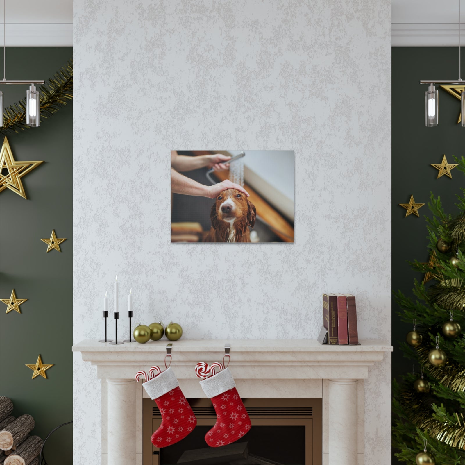 Cute Tolling Retriever Bath Canvas Wall Art for Home Decor Ready-to-Hang-Express Your Love Gifts