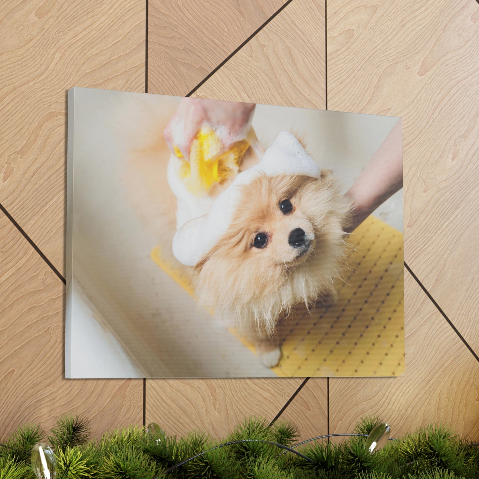 Cute Pomeranian Bathee Canvas Wall Art for Home Decor Ready-to-Hang-Express Your Love Gifts