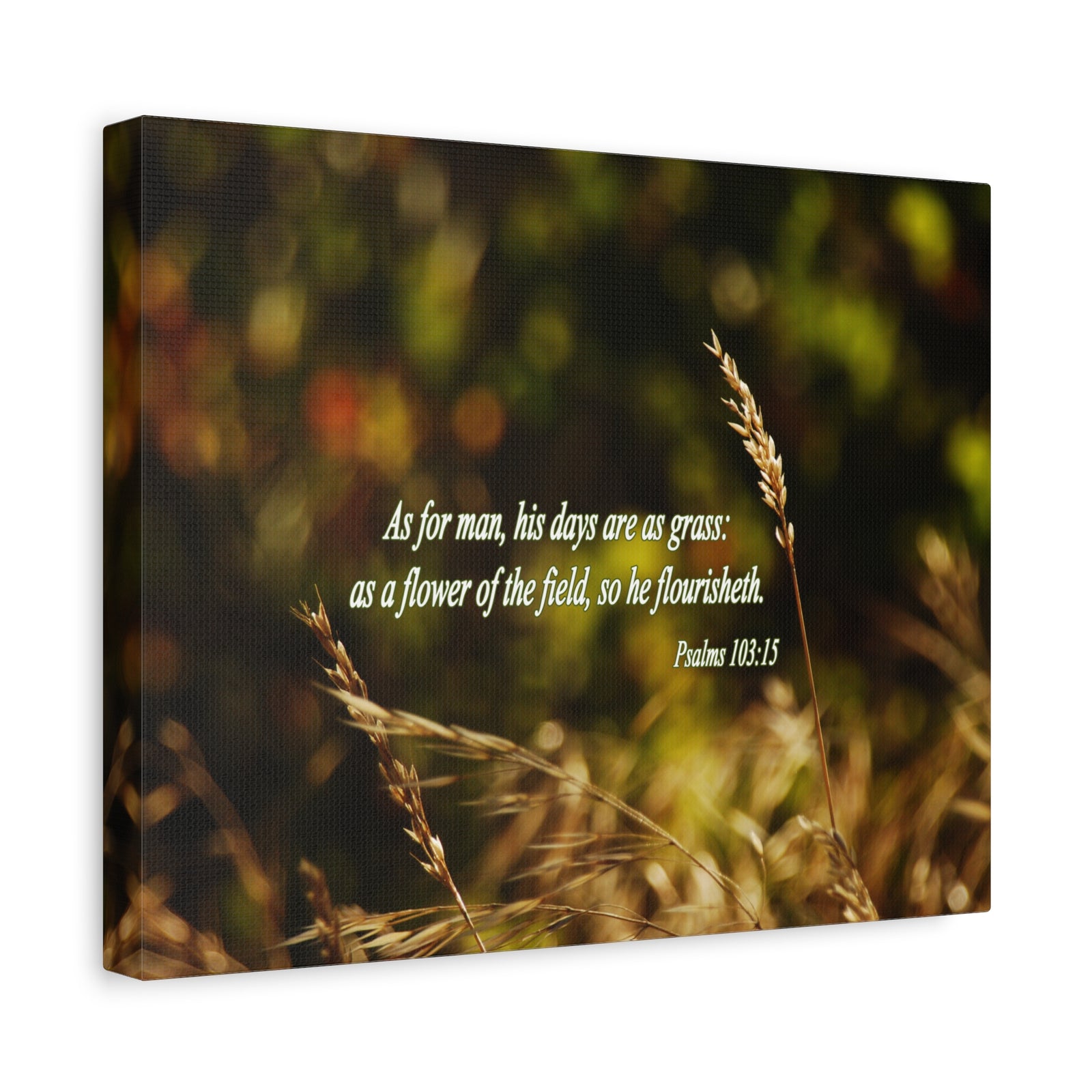 Scripture Walls Flower Of The Field Psalms 103:15 Bible Verse Canvas Christian Wall Art Bible Verse Print Ready To Hang-Express Your Love Gifts