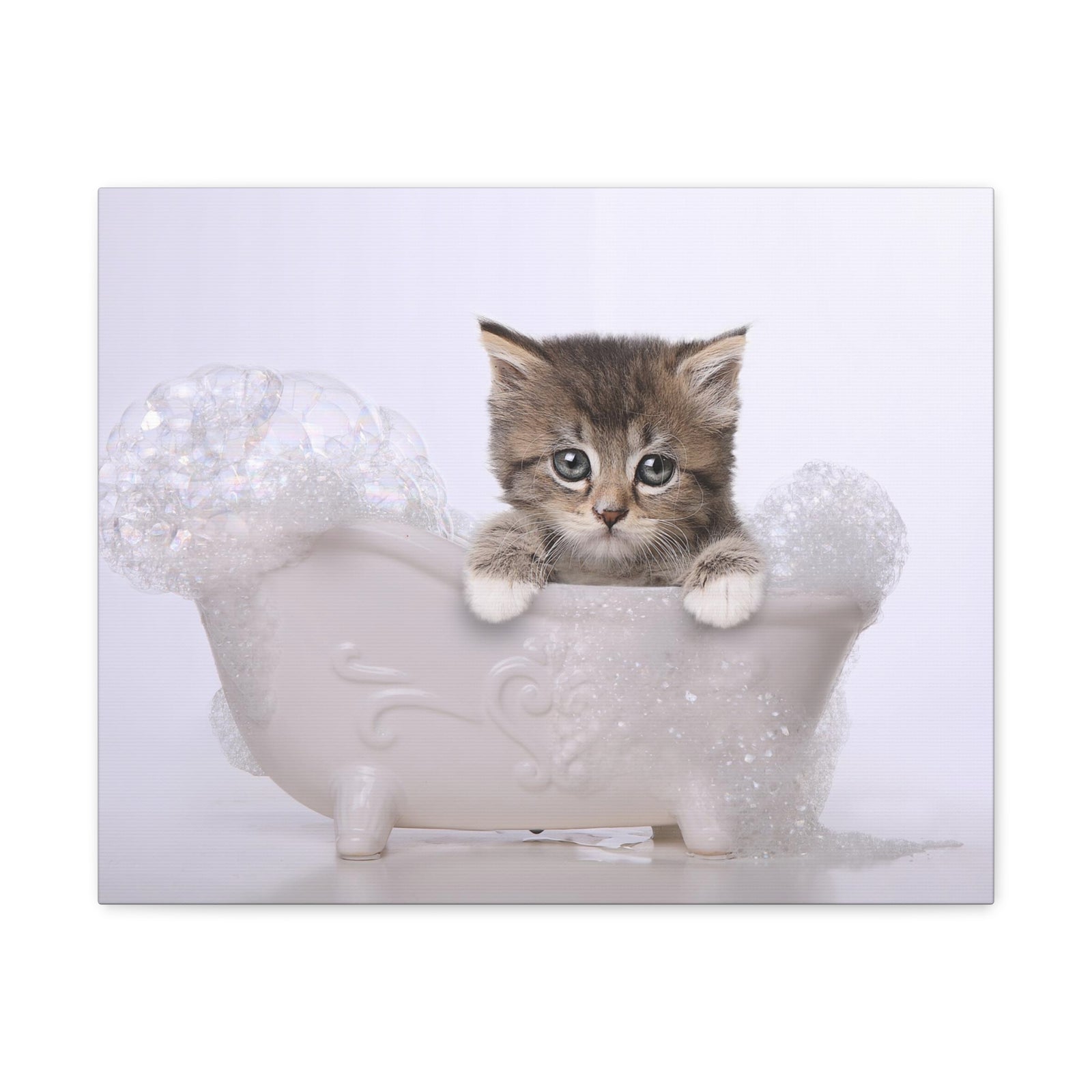 Cute Main Coon Kitten Bathee Canvas Wall Art for Home Decor Ready-to-Hang-Express Your Love Gifts