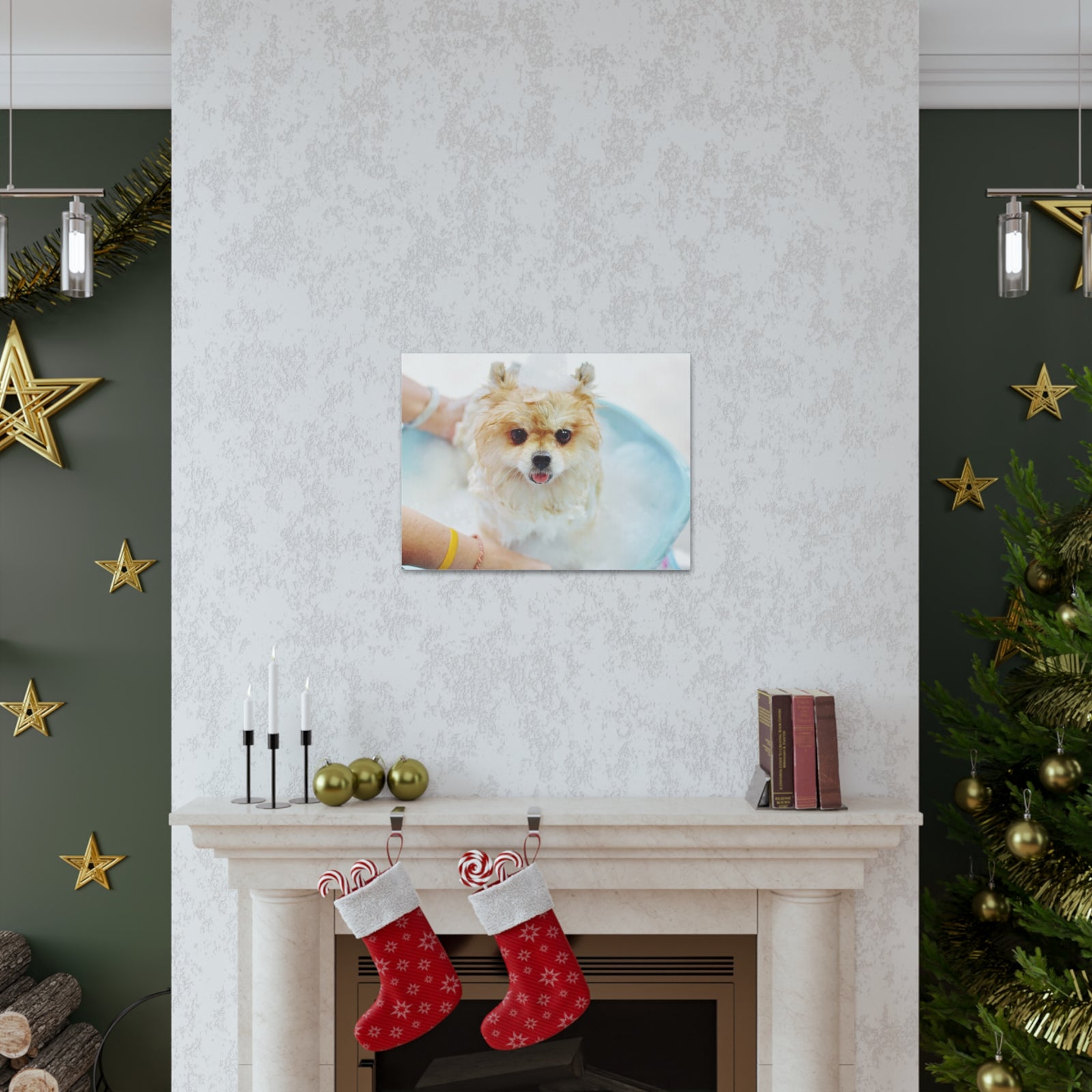 Cute Pomeranian Bath Canvas Wall Art for Home Decor Ready-to-Hang-Express Your Love Gifts