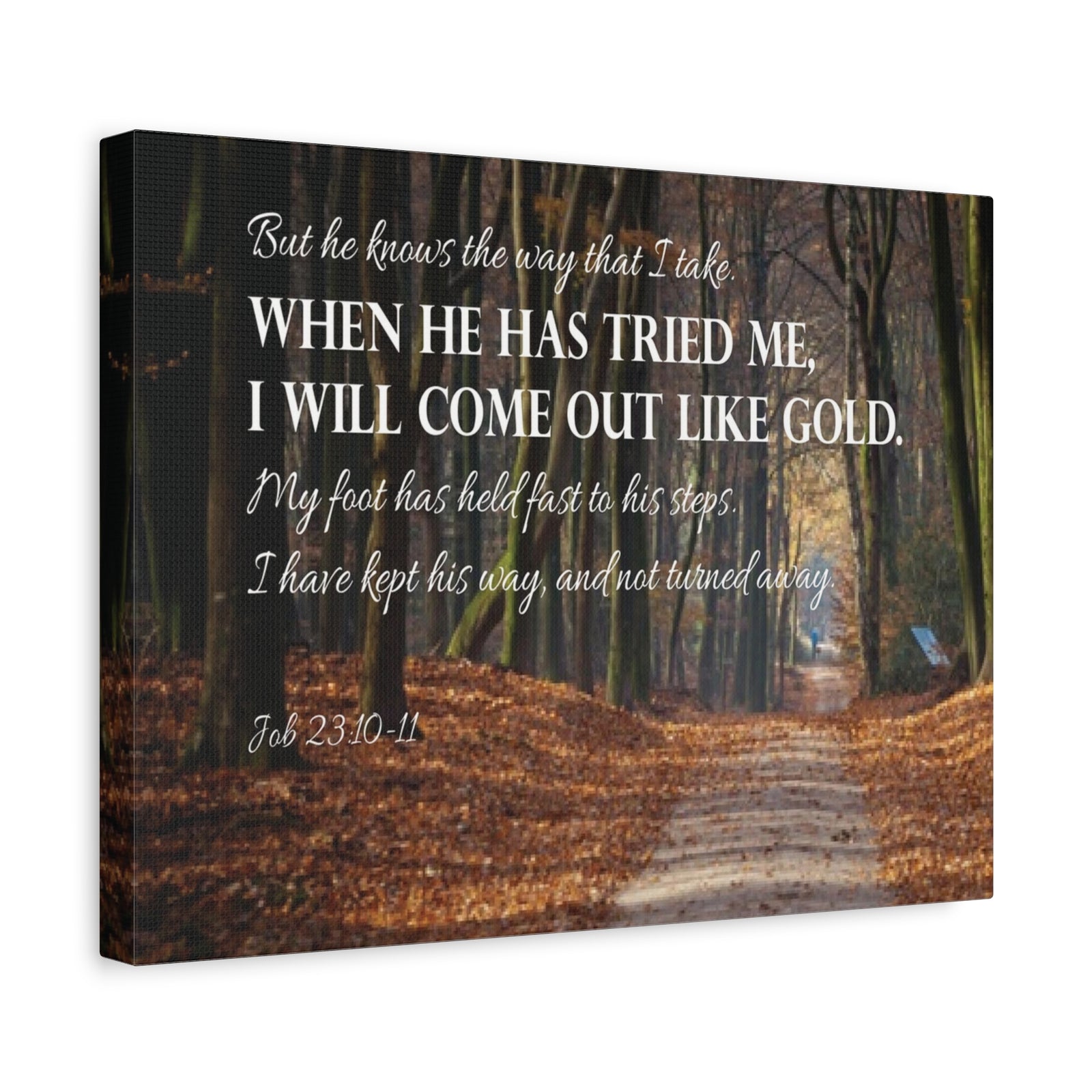 Bible Verse Canvas Come Out Like Gold Job 23:10-11 Scripture Wall Art Christian Home Decor-Express Your Love Gifts