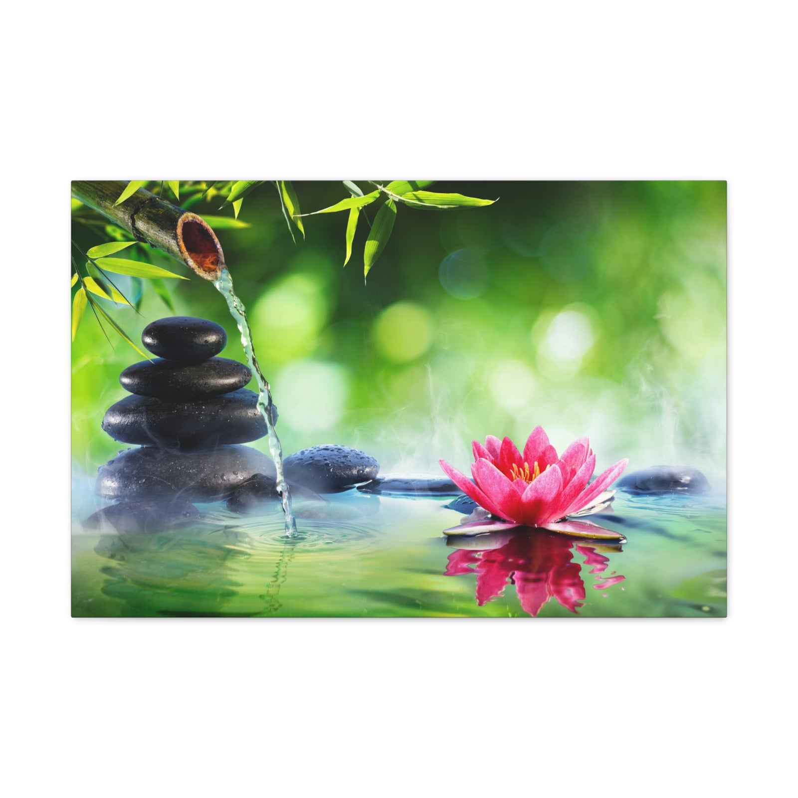 Stones and Waterlily Forest Floral Nature Photography Canvas Wall Art for Home Decor Ready-to-Hang-Express Your Love Gifts