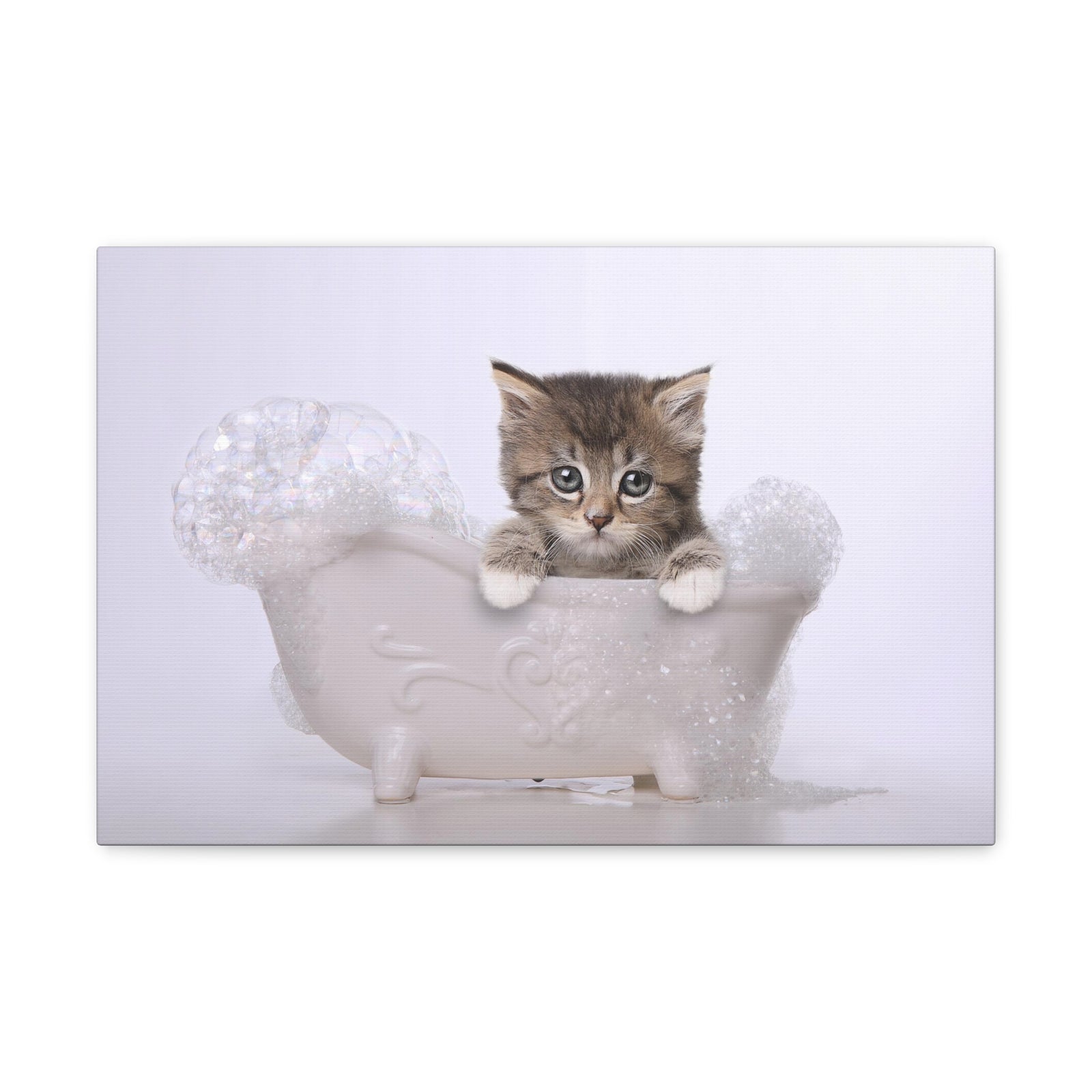 Cute Main Coon Kitten Bathee Canvas Wall Art for Home Decor Ready-to-Hang-Express Your Love Gifts