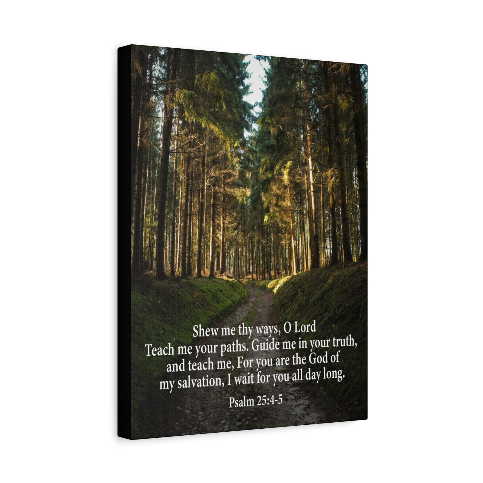 Scripture Canvas Baptism Psalm 25:4-5 Christian Wall Art Bible Verse Print Ready to Hang-Express Your Love Gifts