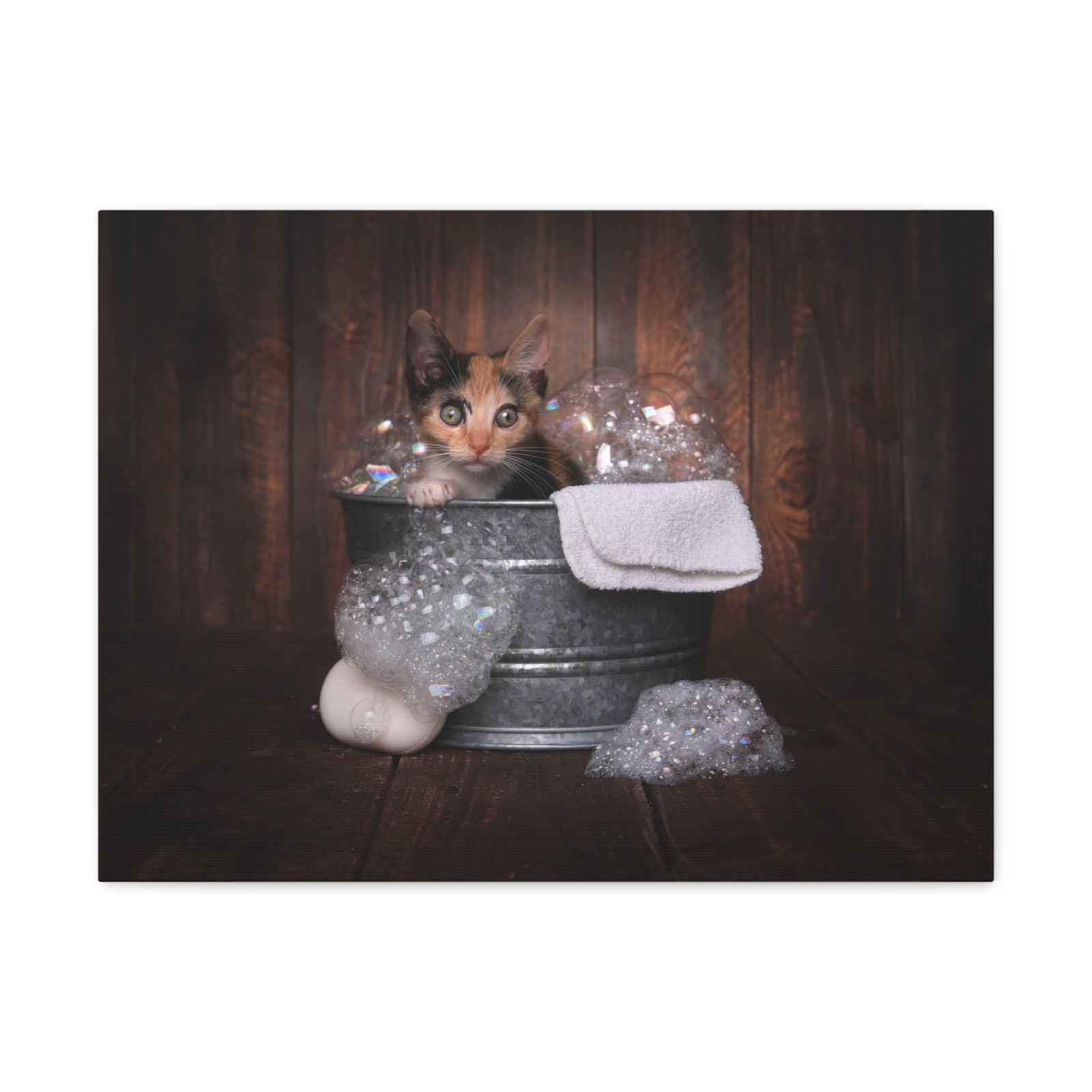 Cute Calico Bathee Canvas Wall Art for Home Decor Ready-to-Hang-Express Your Love Gifts