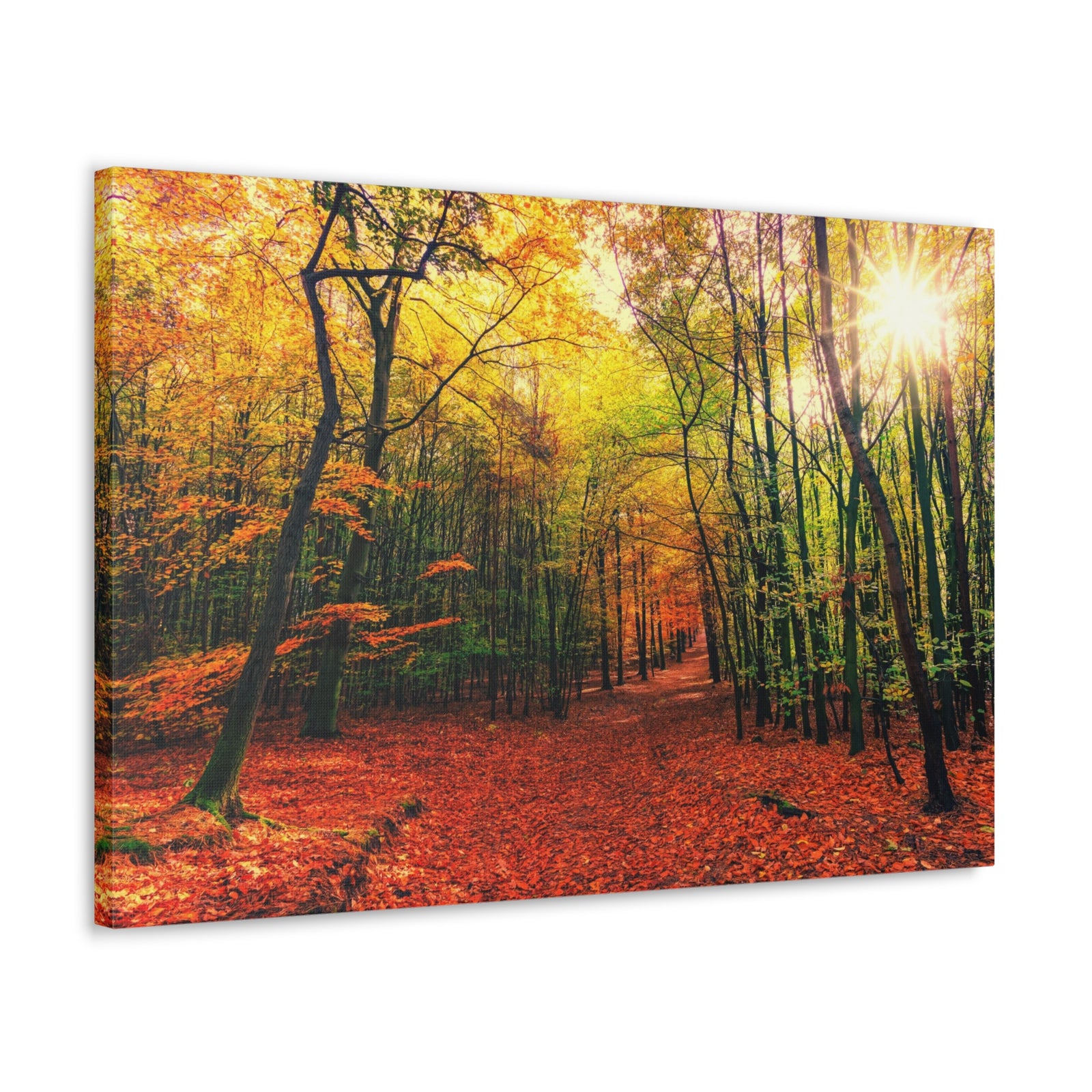 Autumn Forest is Beautiful Forest Floral Nature Photography Canvas Wall Art for Home Decor Ready-to-Hang-Express Your Love Gifts