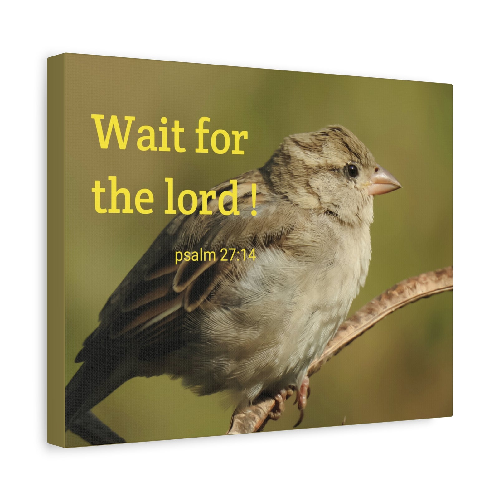 Scripture Walls Wait For The Lord Psalm 27:14 Bible Verse Canvas Christian Wall Art Ready to Hang-Express Your Love Gifts