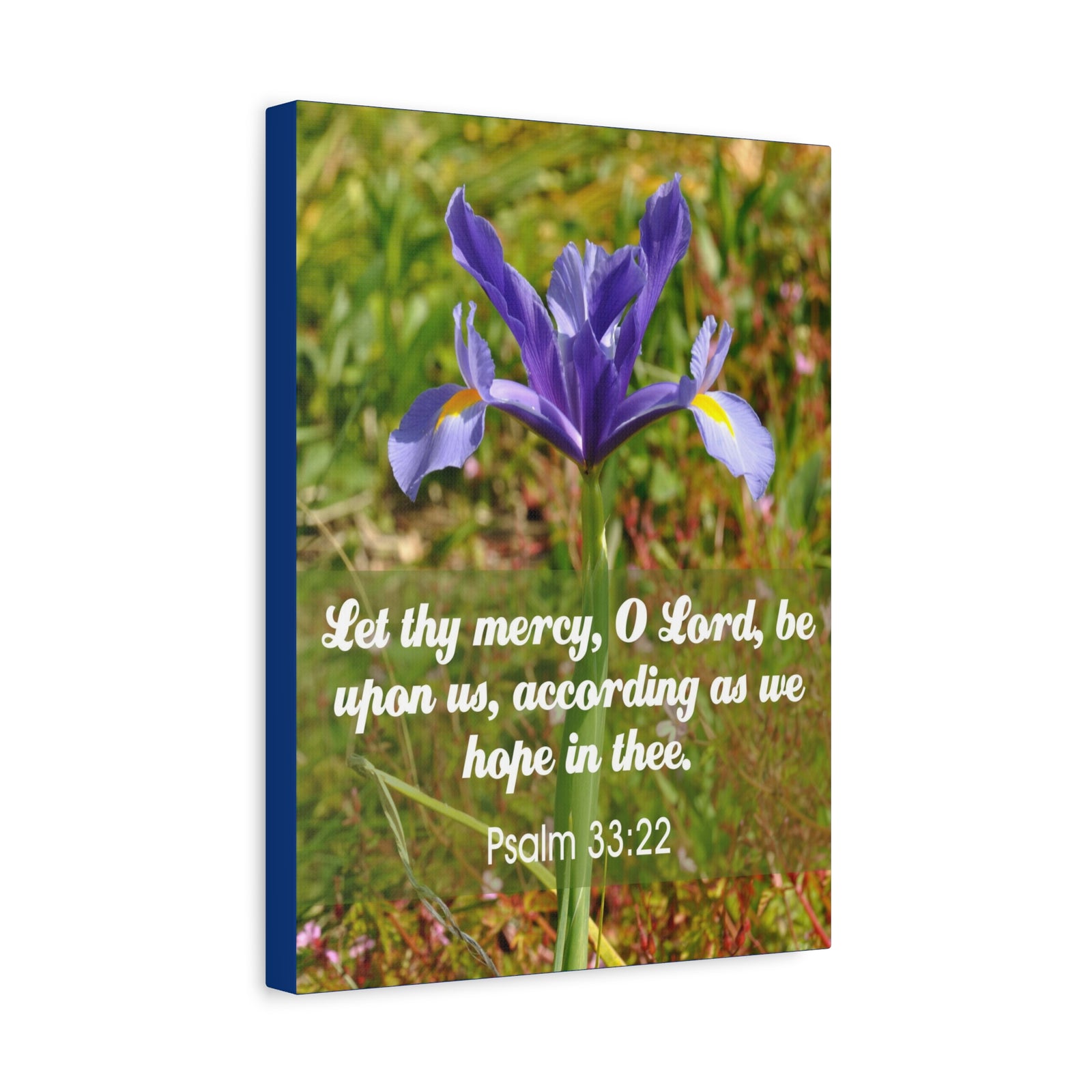 Scripture Walls Hope In Thee Psalm 33:22 Bible Verse Canvas Christian Wall Art Ready to Hang-Express Your Love Gifts