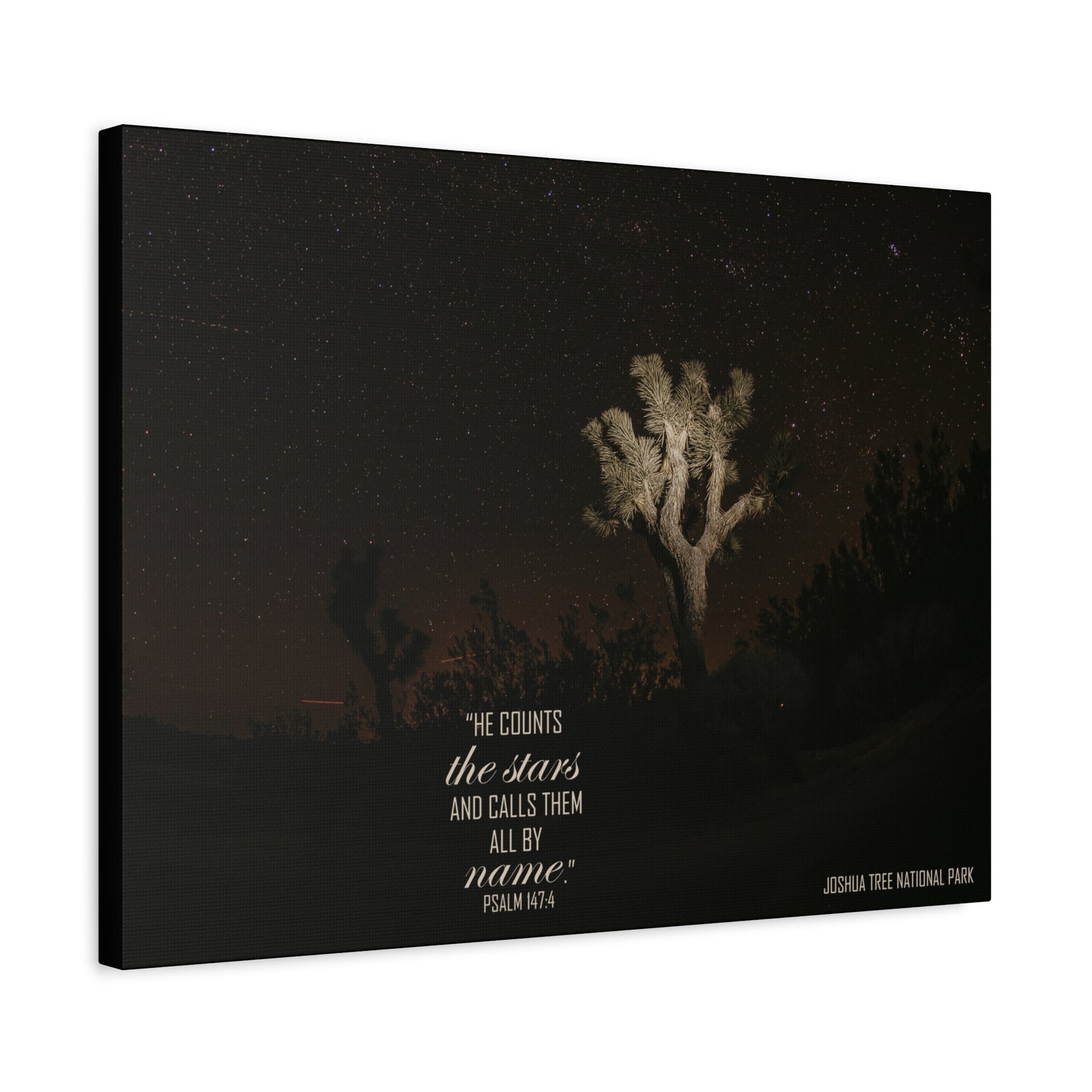 Scripture Walls Counts The Stars Psalm 147:4 Bible Verse Canvas Christian Wall Art Ready to Hang-Express Your Love Gifts