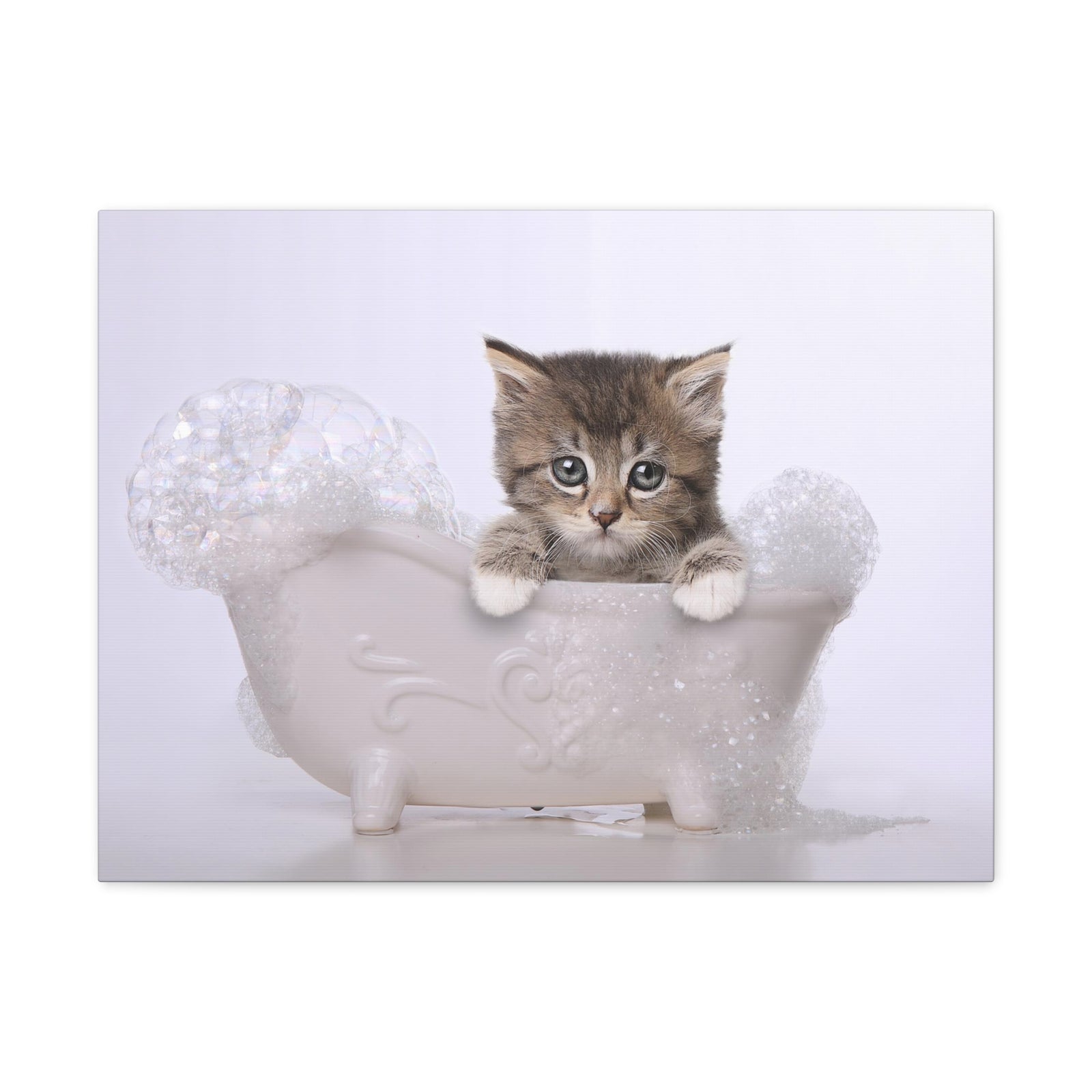 Cute Main Coon Kitten Bathee Canvas Wall Art for Home Decor Ready-to-Hang-Express Your Love Gifts