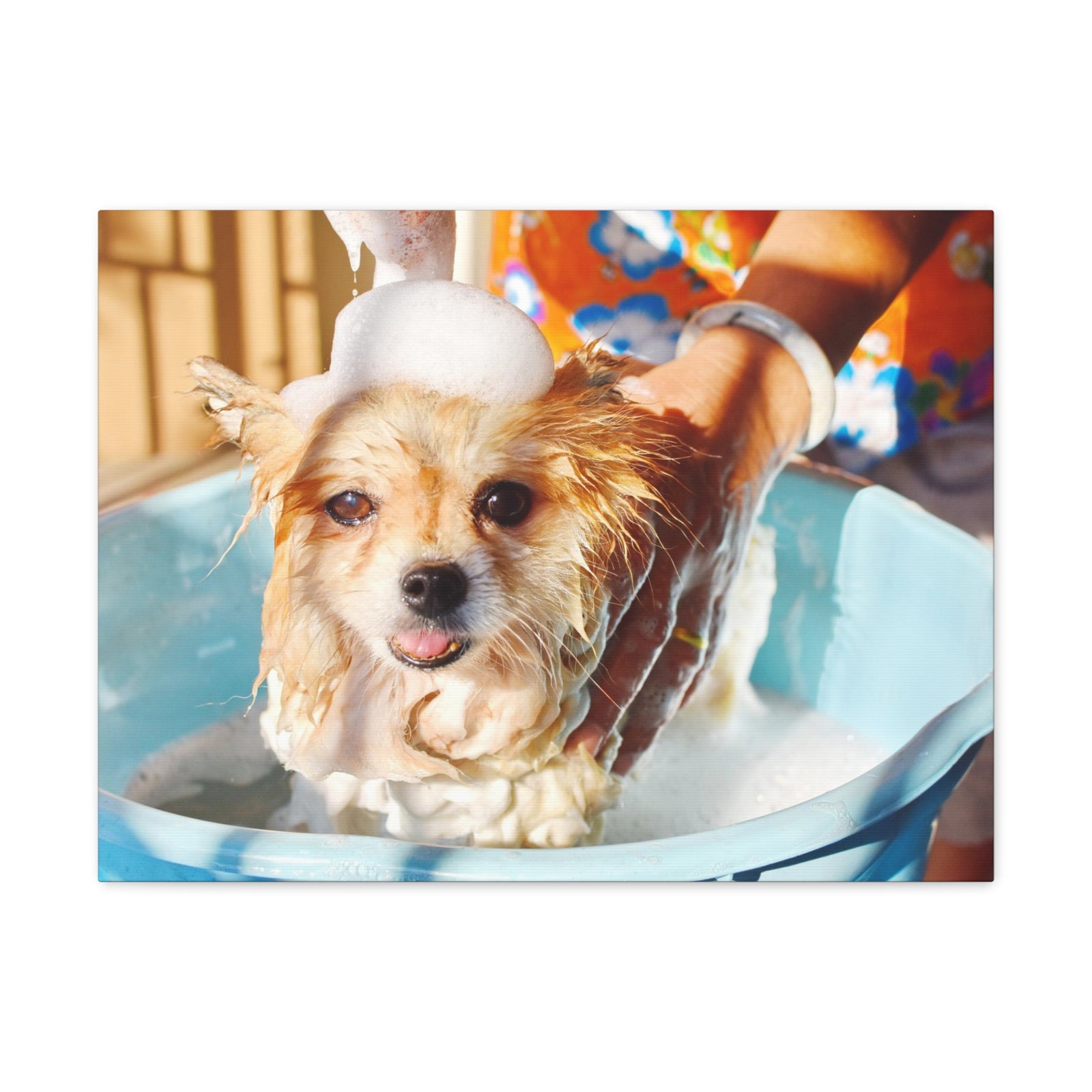 Cute Pomeranian Bathee Canvas Wall Art for Home Decor Ready-to-Hang-Express Your Love Gifts