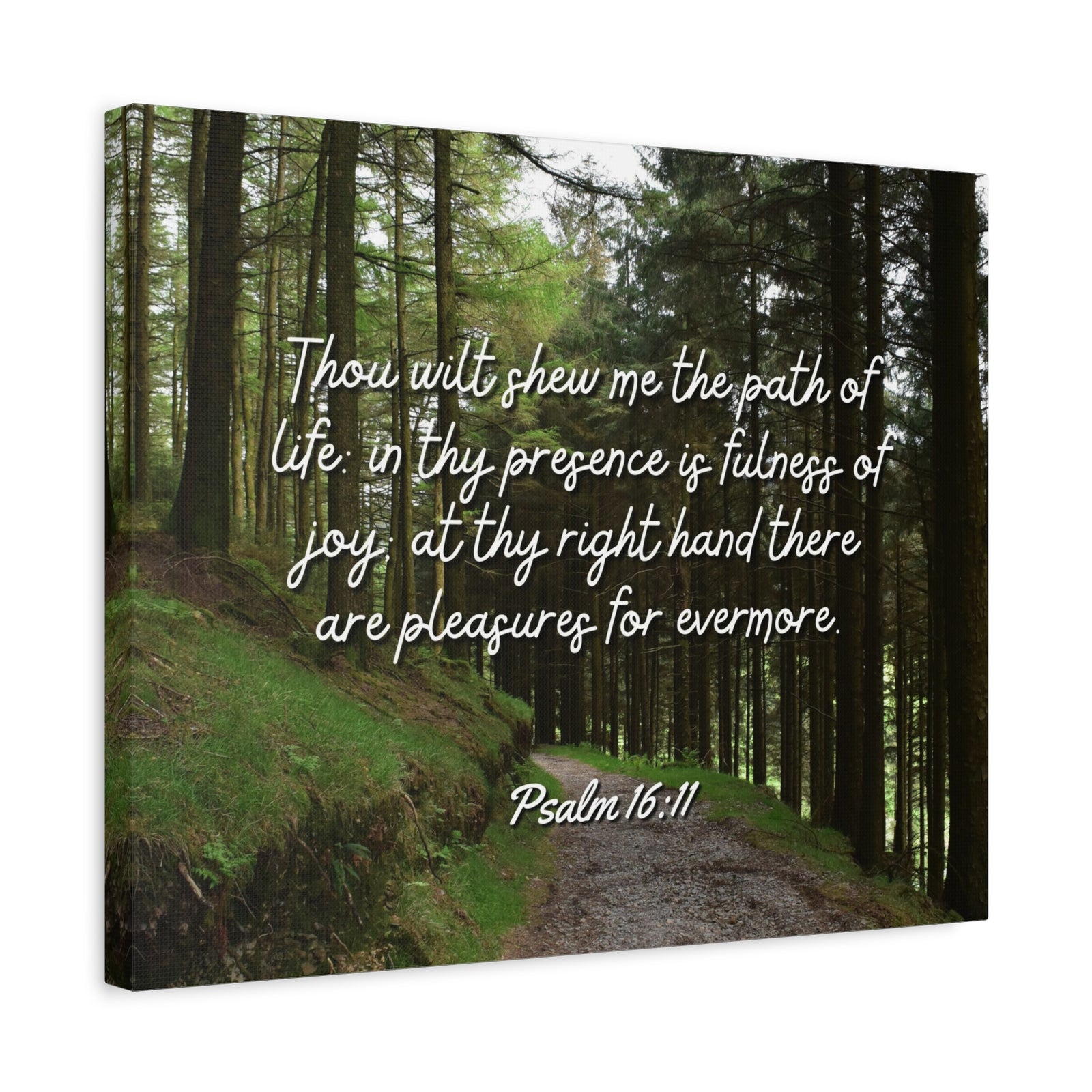 Scripture Walls The Path Of Life Psalm 16:11 Bible Verse Canvas Christian Wall Art Ready to Hang-Express Your Love Gifts