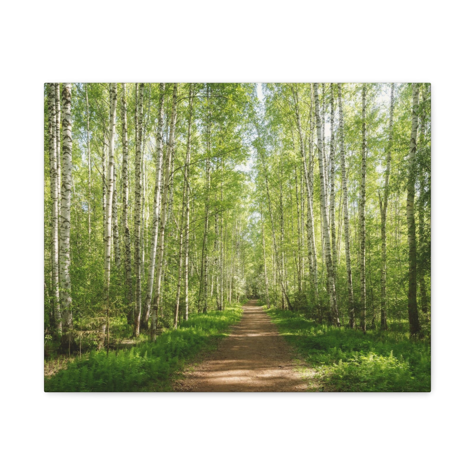 Forest Path Green Tree Nature Wilderness Photography Canvas Wall Art for Home Decor Ready-to-Hang-Express Your Love Gifts