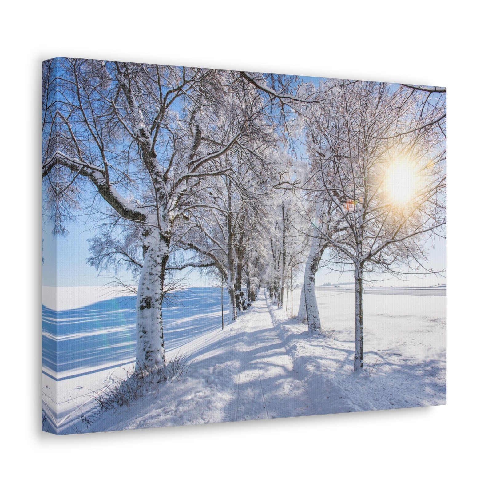 Small Footpath In Winter Through Trees Canvas Wall Art for Home Decor Ready-to-Hang-Express Your Love Gifts