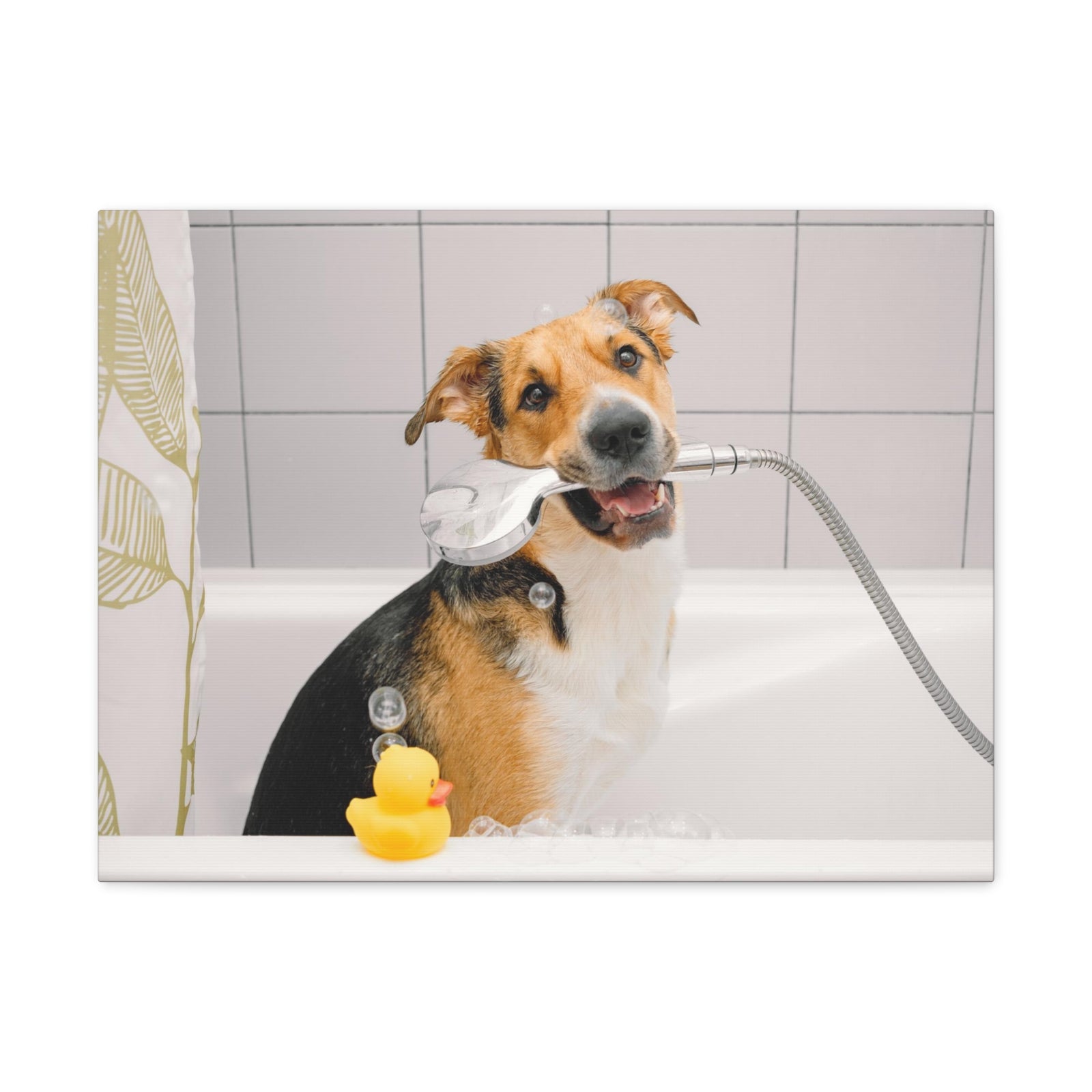 Cute Mongrel Bath Canvas Wall Art for Home Decor Ready-to-Hang-Express Your Love Gifts