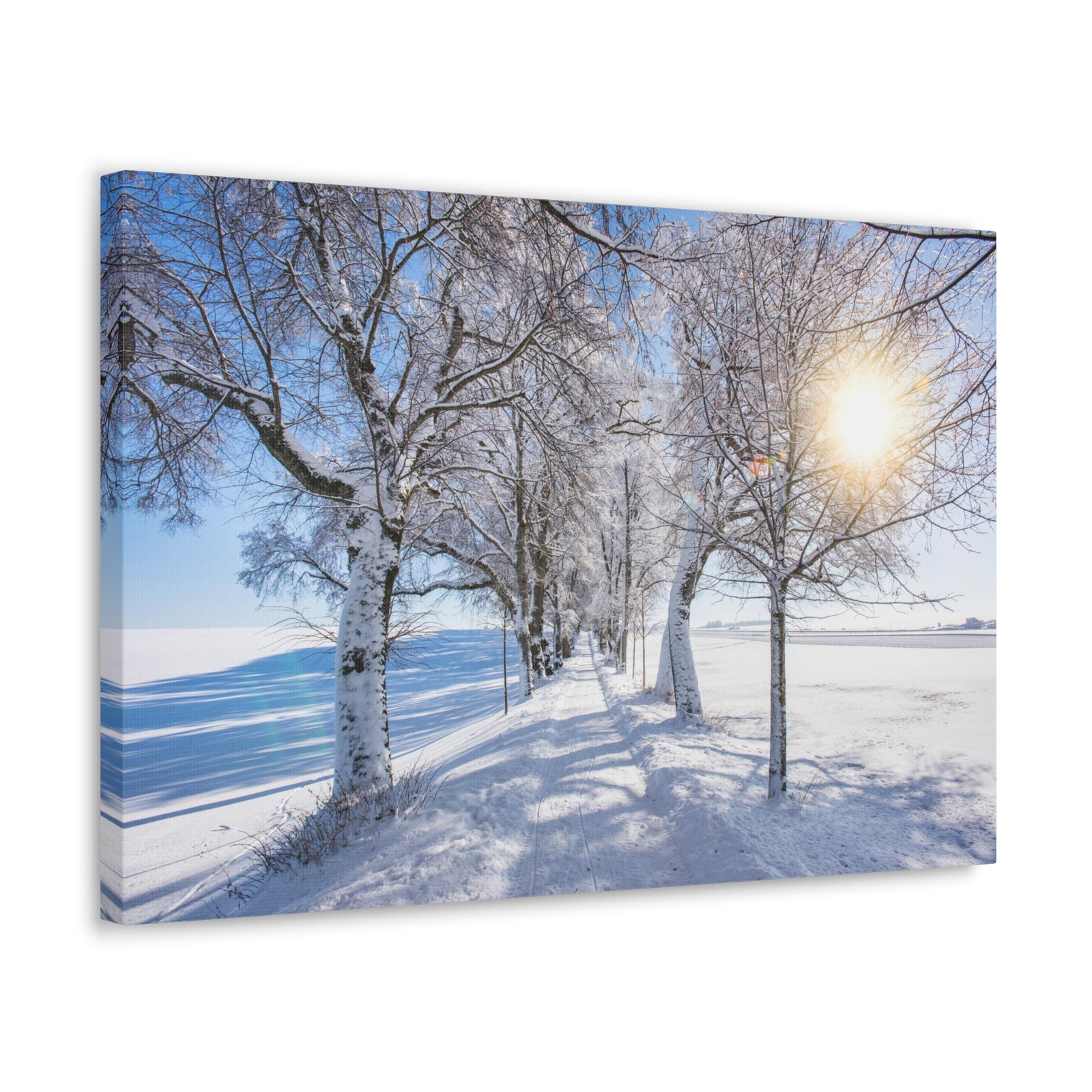 Small Footpath In Winter Through Trees Canvas Wall Art for Home Decor Ready-to-Hang-Express Your Love Gifts