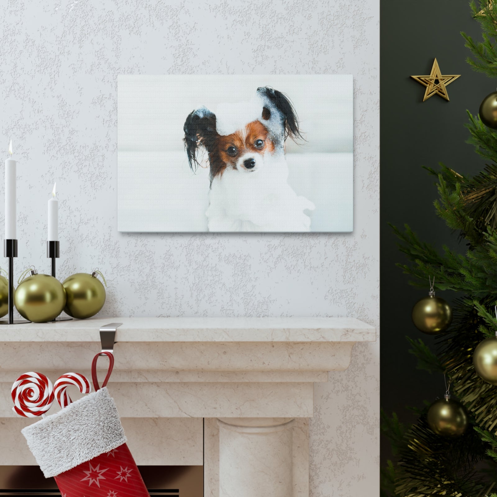 Cute Papillon Bath Canvas Wall Art for Home Decor Ready-to-Hang-Express Your Love Gifts
