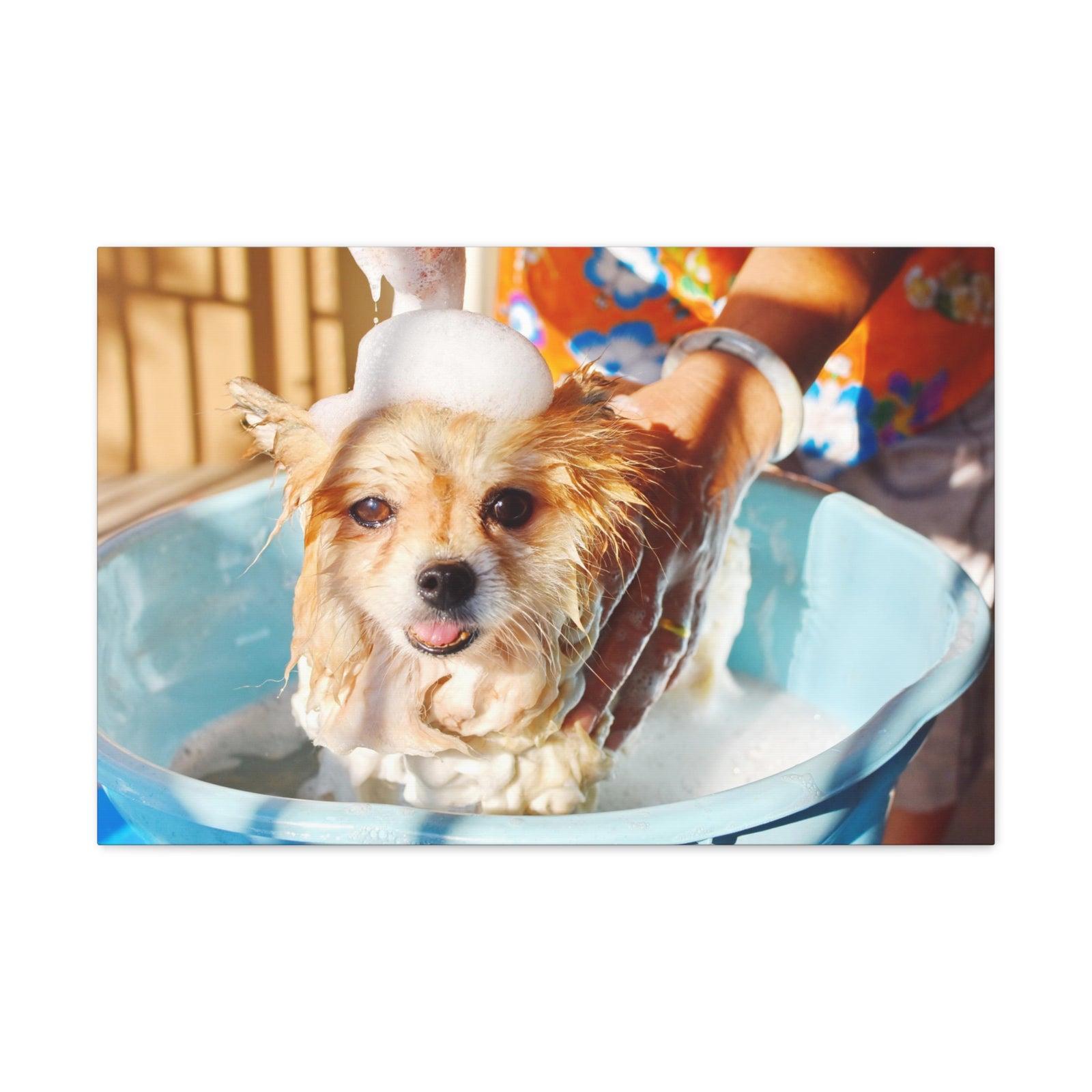 Cute Pomeranian Bathee Canvas Wall Art for Home Decor Ready-to-Hang-Express Your Love Gifts