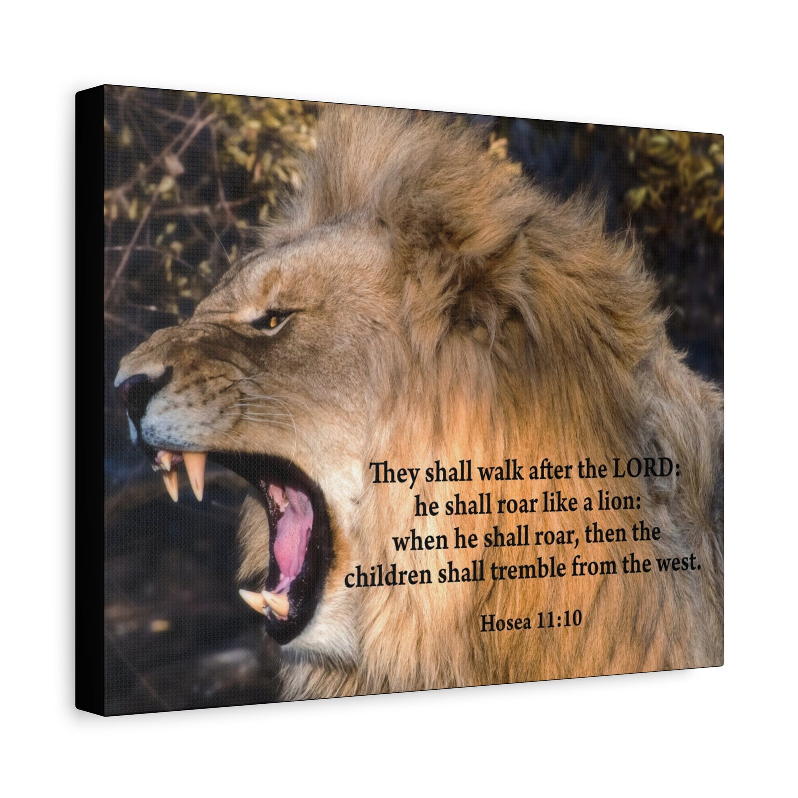Scripture Canvas Roaring Lion of Judah Hosea 11:10 Christian Wall Art Bible Verse Print Ready to Hang-Express Your Love Gifts