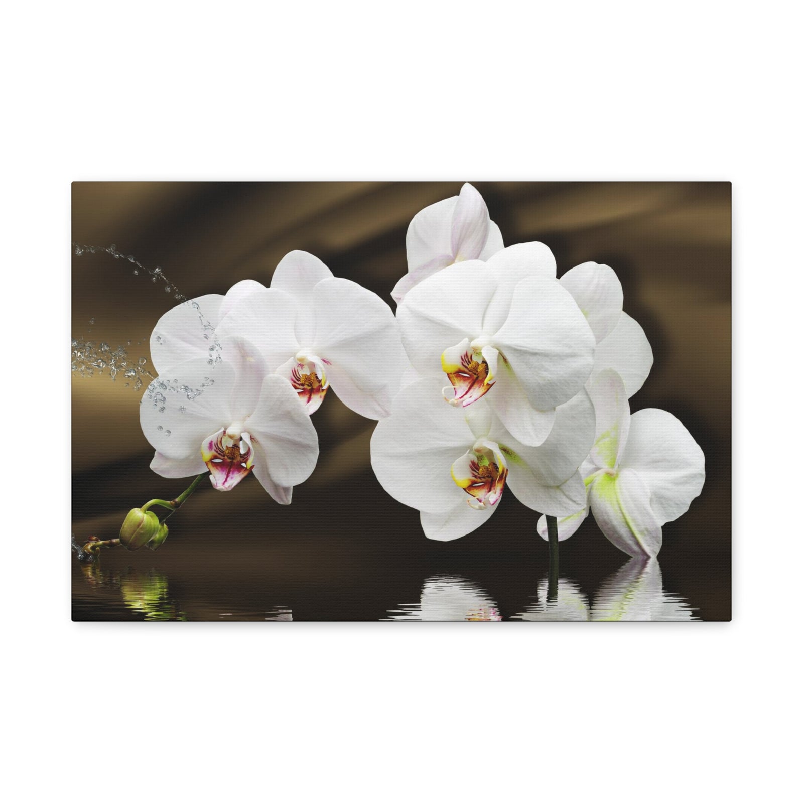 Orchids Reflected in Water Flower Canvas Wall Art for Home Decor Ready-to-Hang-Express Your Love Gifts