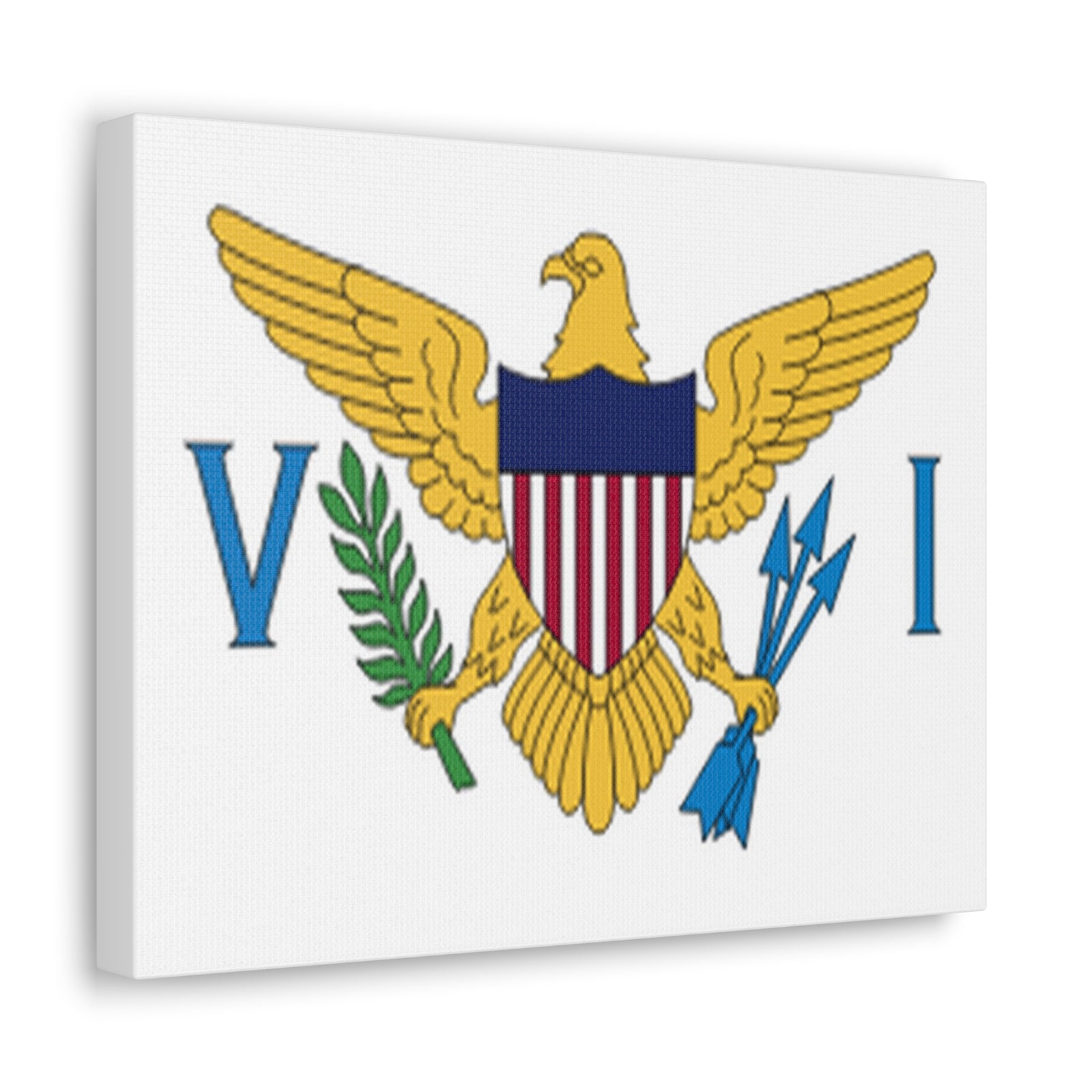 United States Virgin Islands Country Flag Canvas Vibrant Wall Art Unframed Home Decor-Express Your Love Gifts