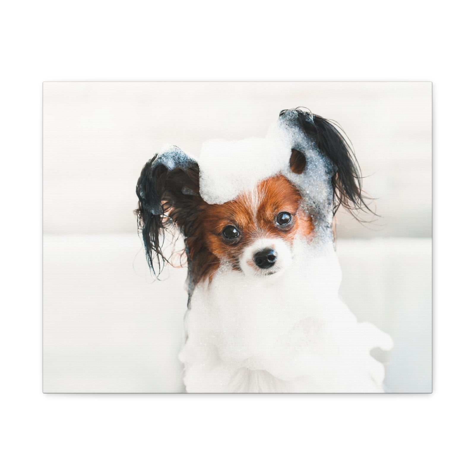 Cute Papillon Bath Canvas Wall Art for Home Decor Ready-to-Hang-Express Your Love Gifts