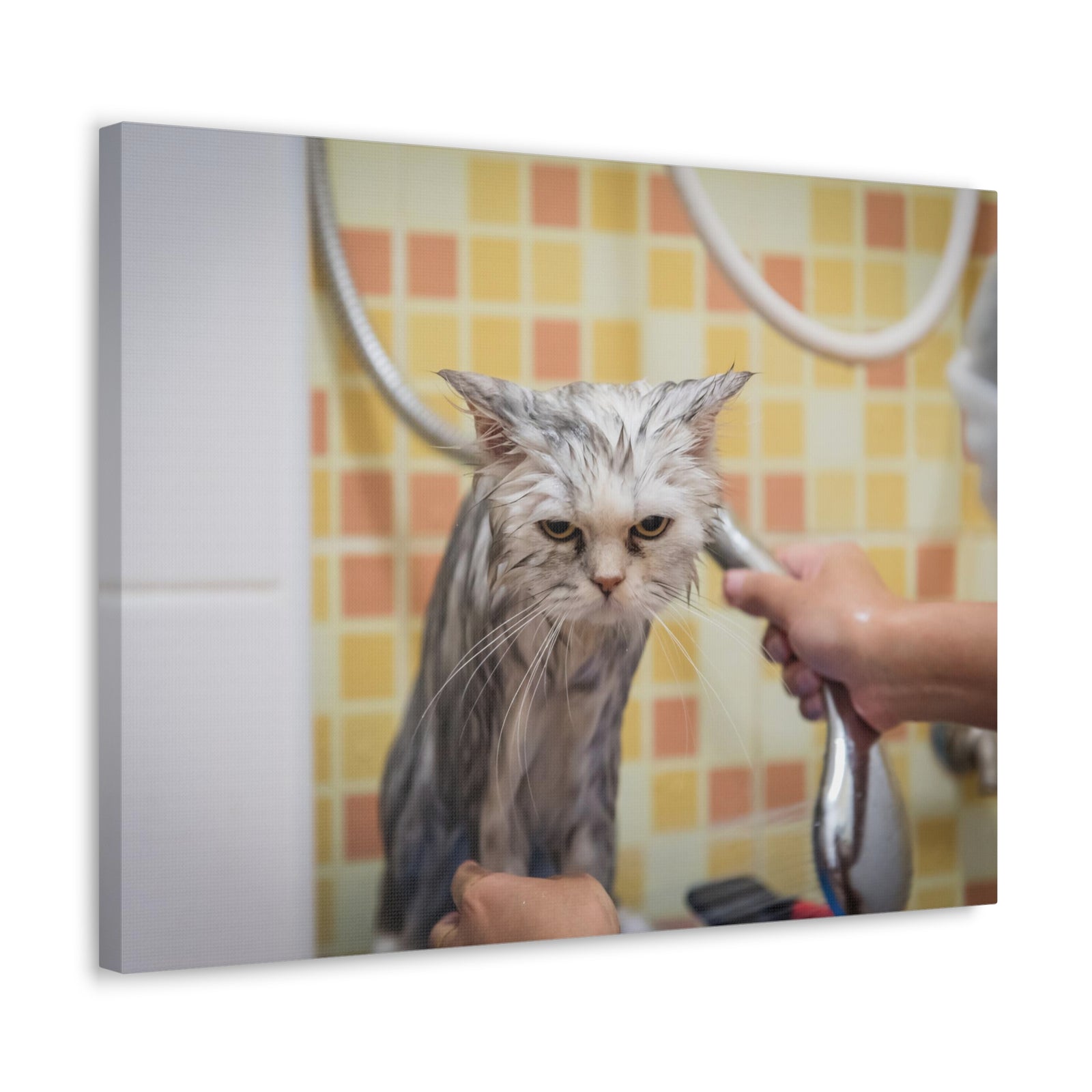 Cute Maine Coon Bath Canvas Wall Art for Home Decor Ready-to-Hang-Express Your Love Gifts