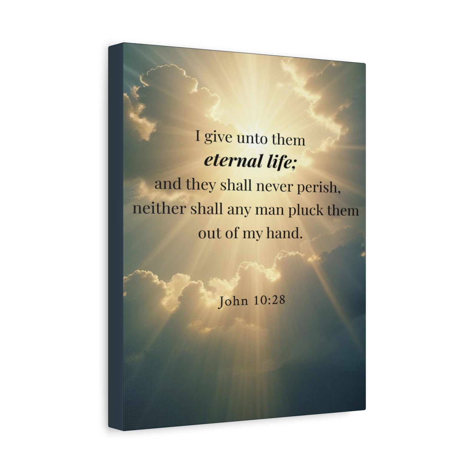 Scripture Walls John 10:28 Eternal Assurance Bible Verse Canvas Christian Wall Art Ready to Hang Unframed-Express Your Love Gifts